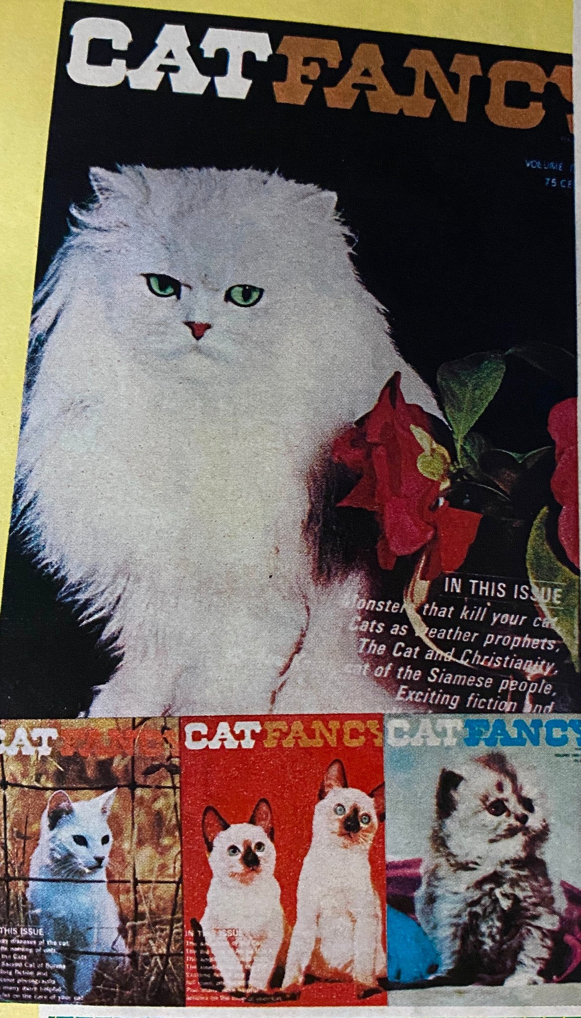 American Home Magazine December 1970 Christmas All Through The House