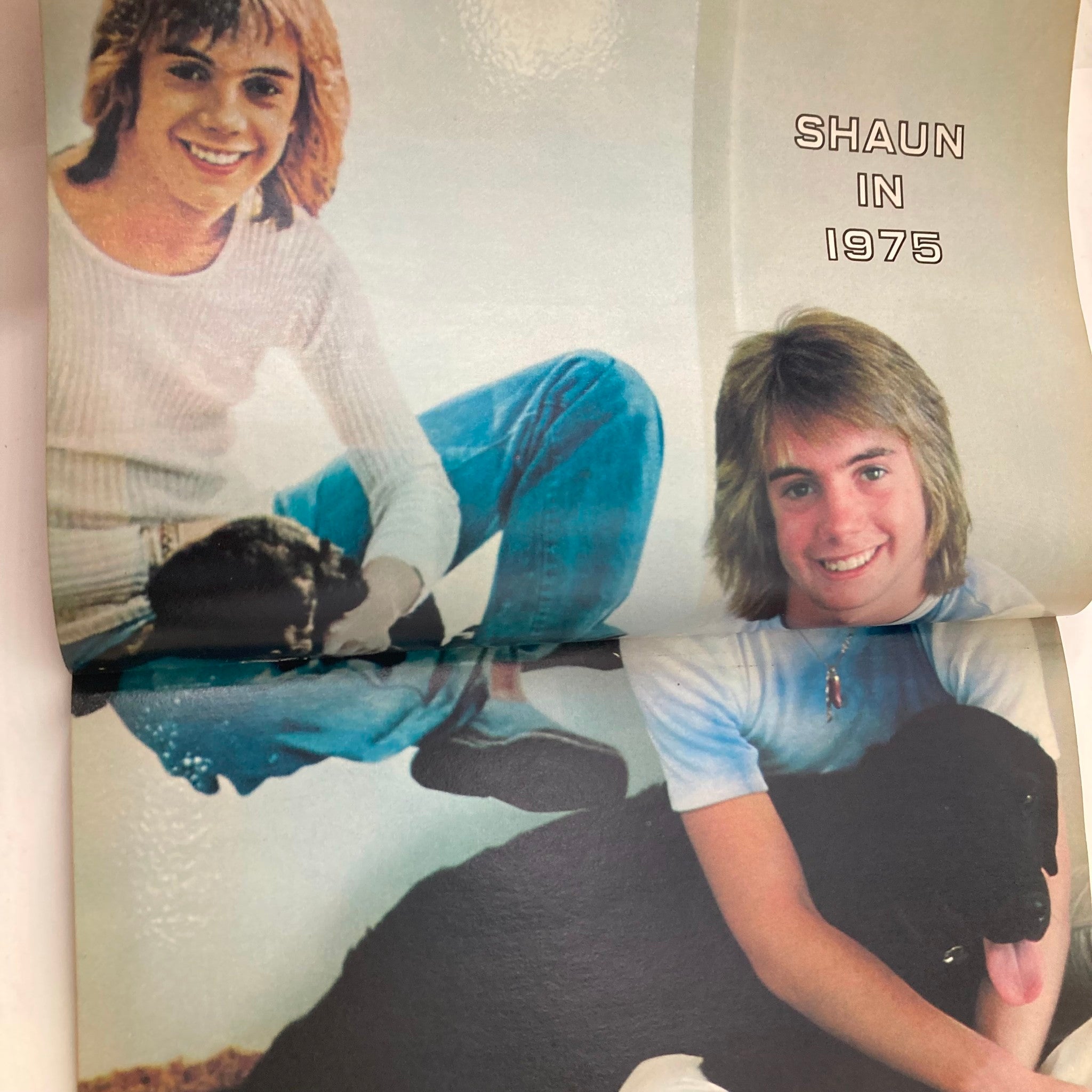 Tiger Beat Super Special 1978 #18 Shaun Cassidy Leif Garret w Poster No Label