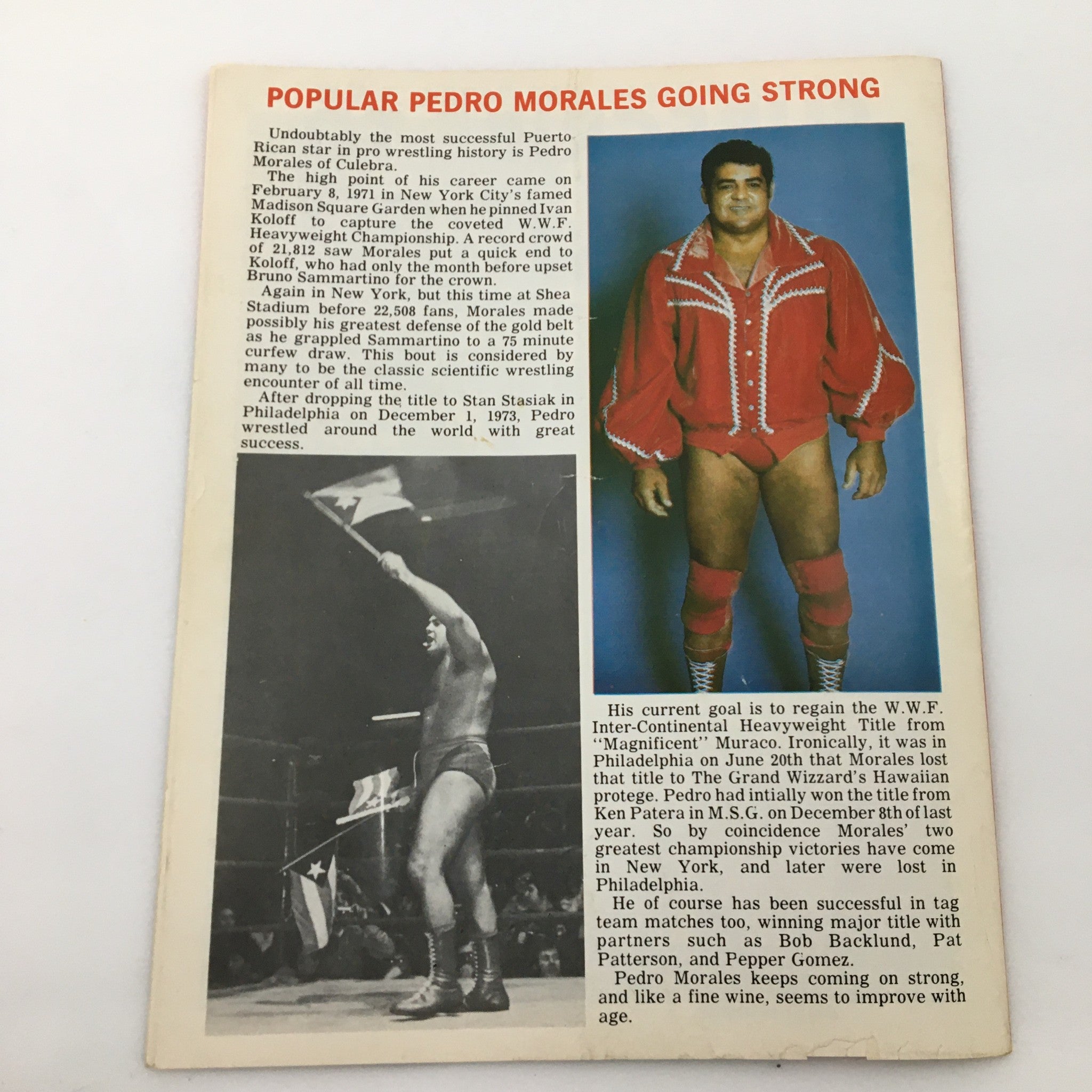WWF Major League Wrestling Official Souvenir Program 1981 cover page featuring Pedro Morales in a striking red wrestling outfit, emphasizing his achievements and popularity in professional wrestling.