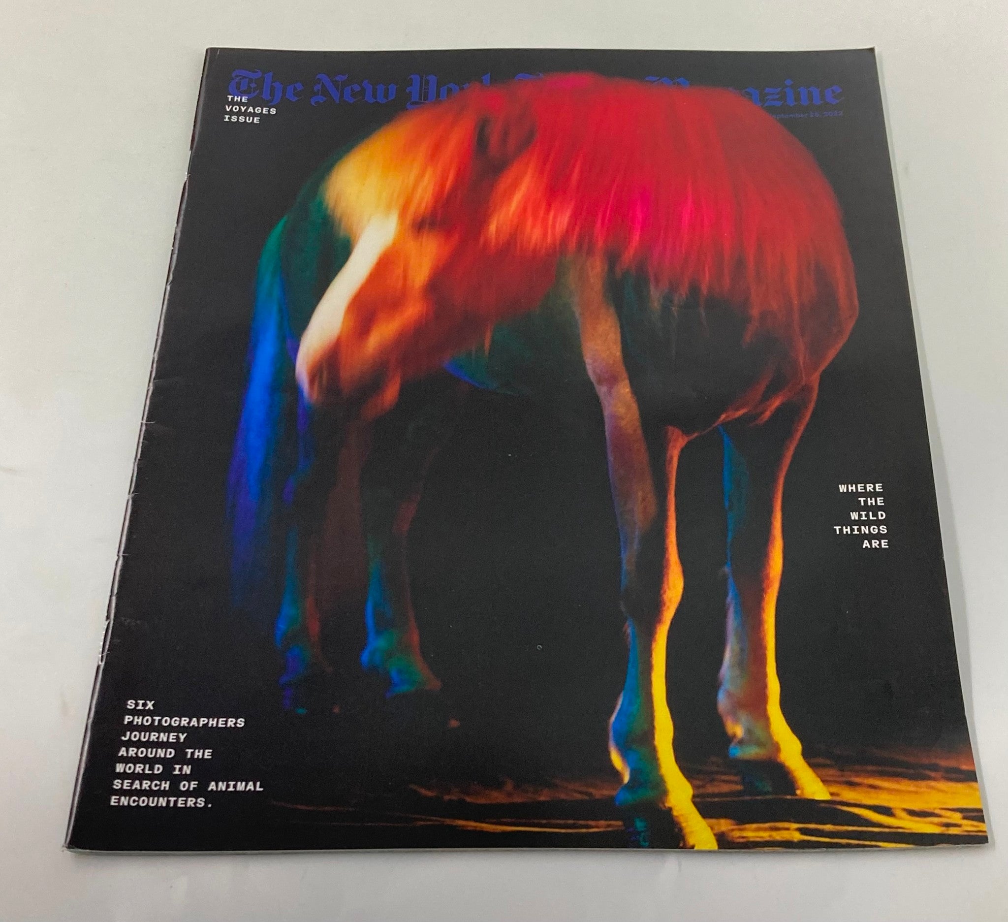 The New York Times Magazine September 25 2022 Animal Encounters No Label