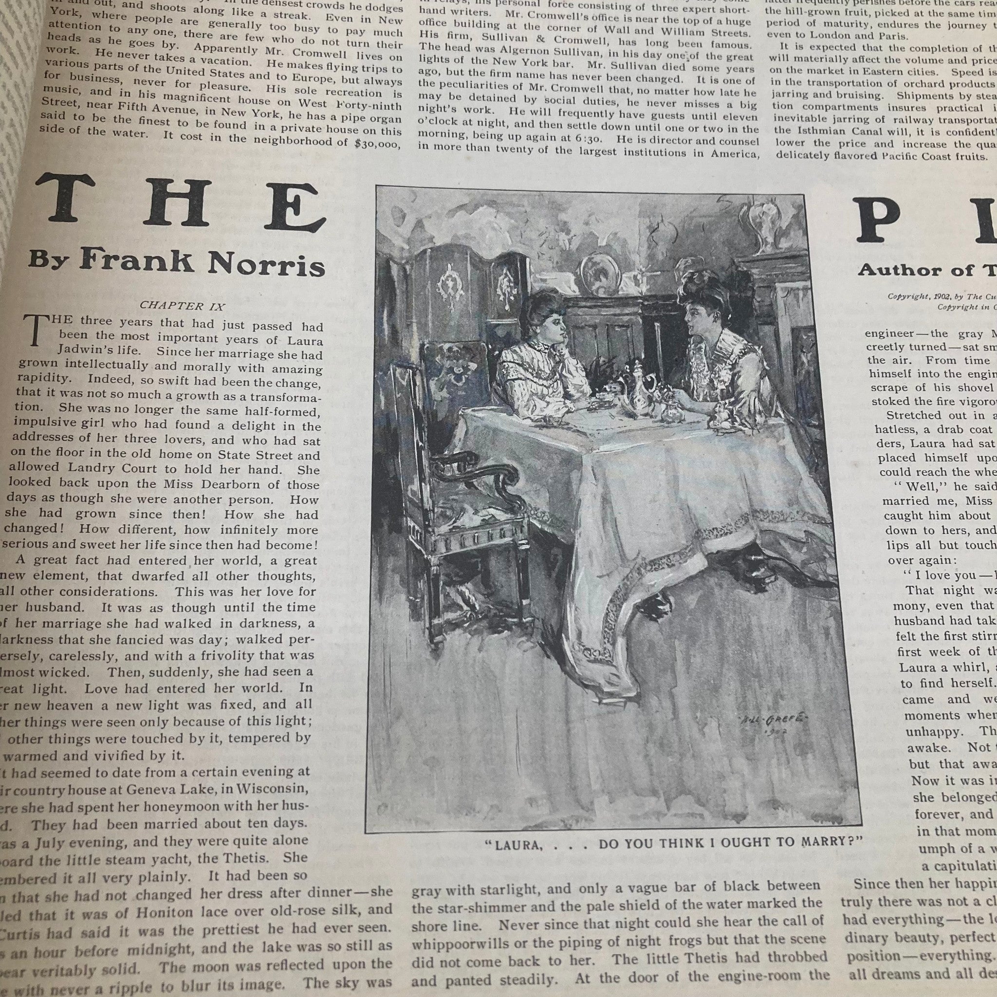 Saturday Evening Post Magazine Illustrated Cover November 15 1902 Wilderness