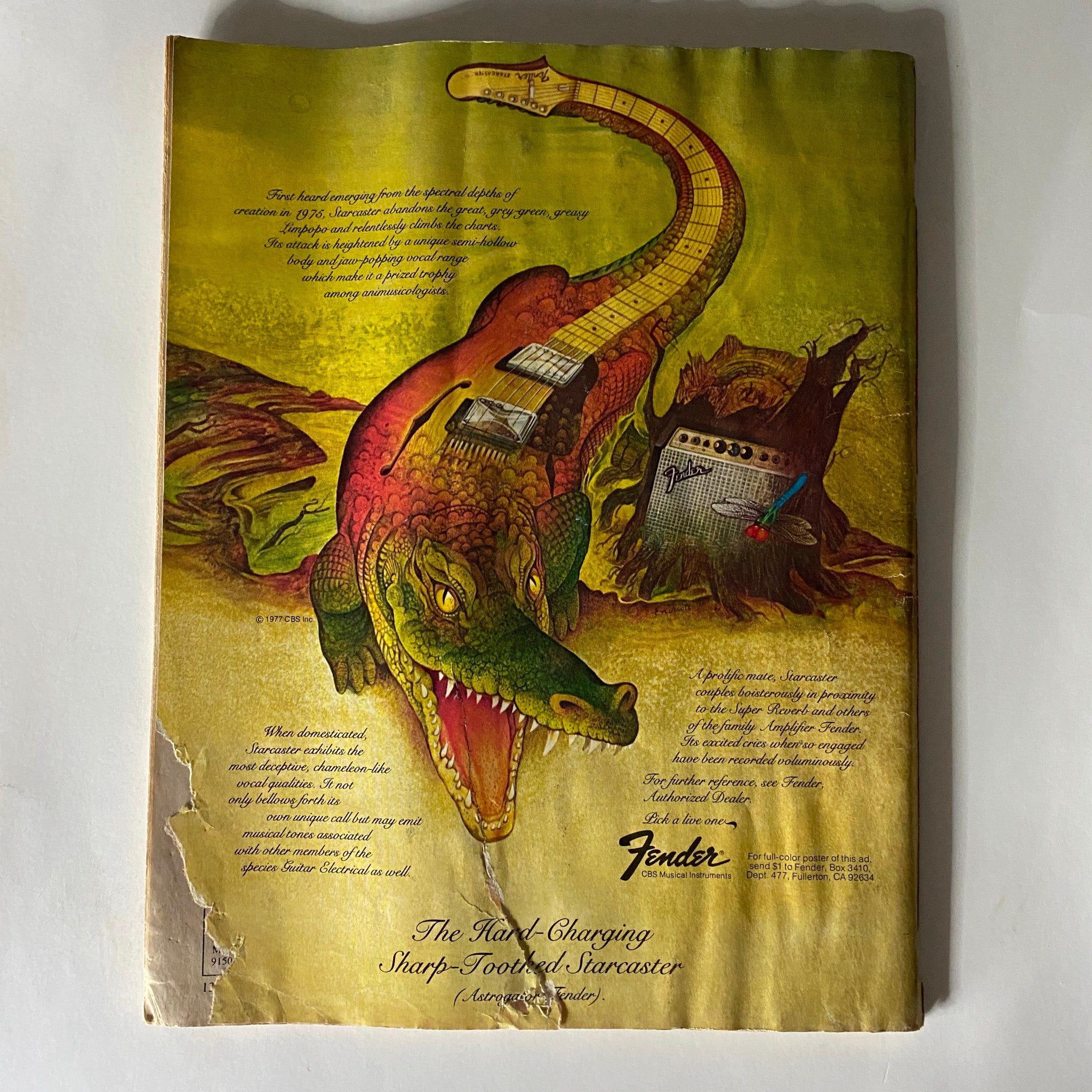 Back cover of VTG Guitar Player Magazine May 1977 with a colorful illustration of a guitar and a reptile, emphasizing guitar culture and brand advertisement.