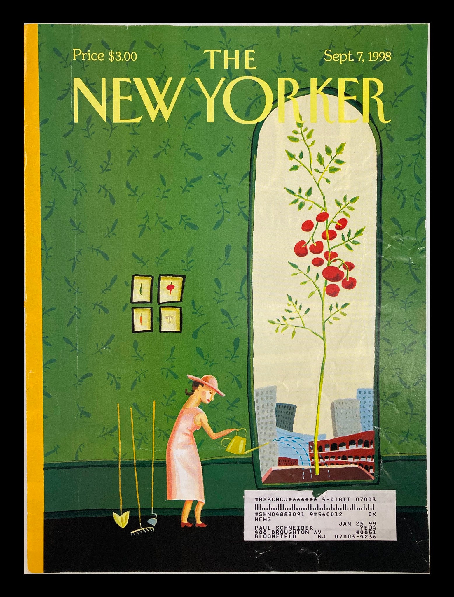 COVER ONLY The New Yorker September 7 1998 Window Box by Juliet Borda