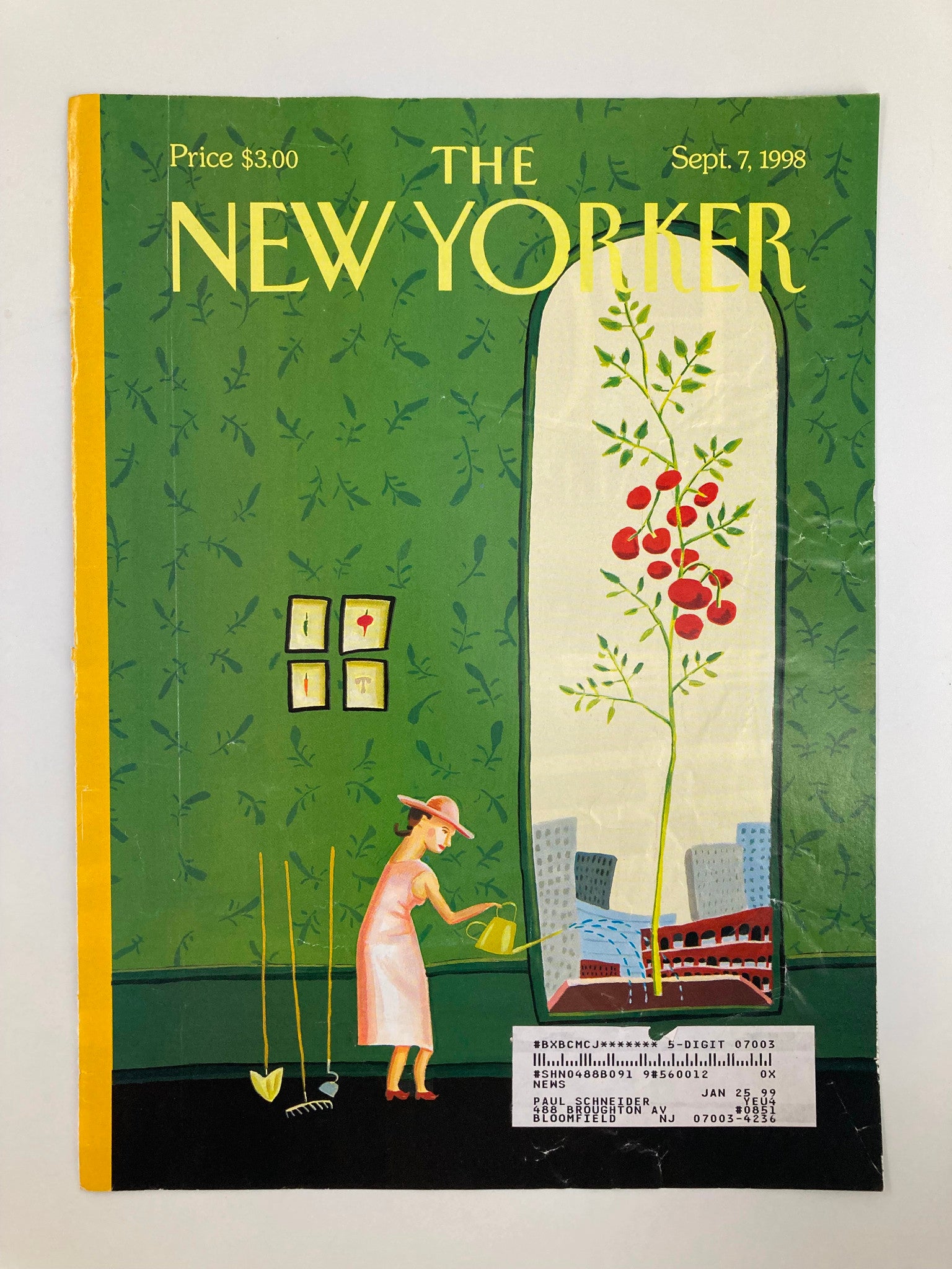 COVER ONLY The New Yorker September 7 1998 Window Box by Juliet Borda