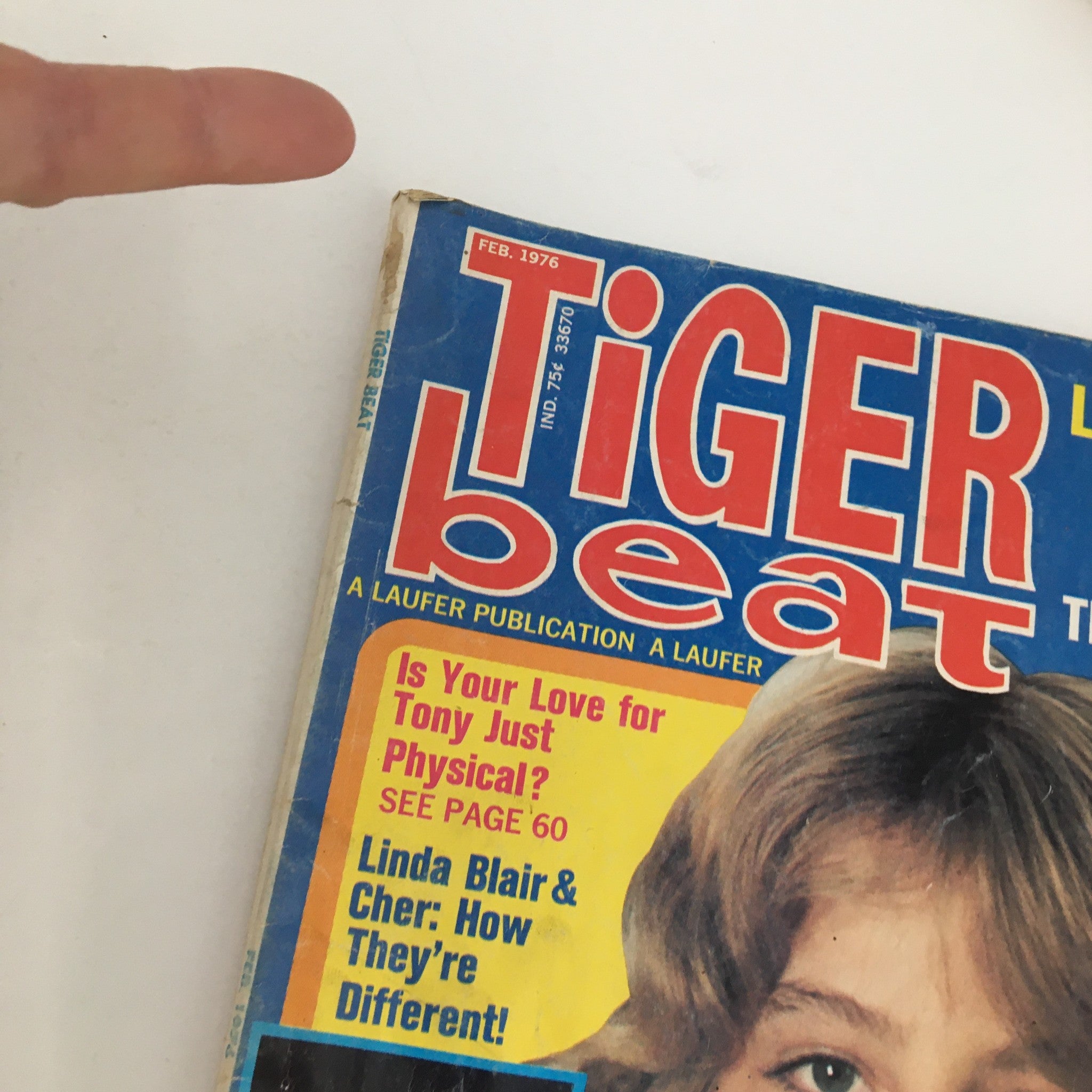 Close-up of Tiger Beat Magazine February 1976 cover, emphasizing prominent headlines and details of the featured stories.