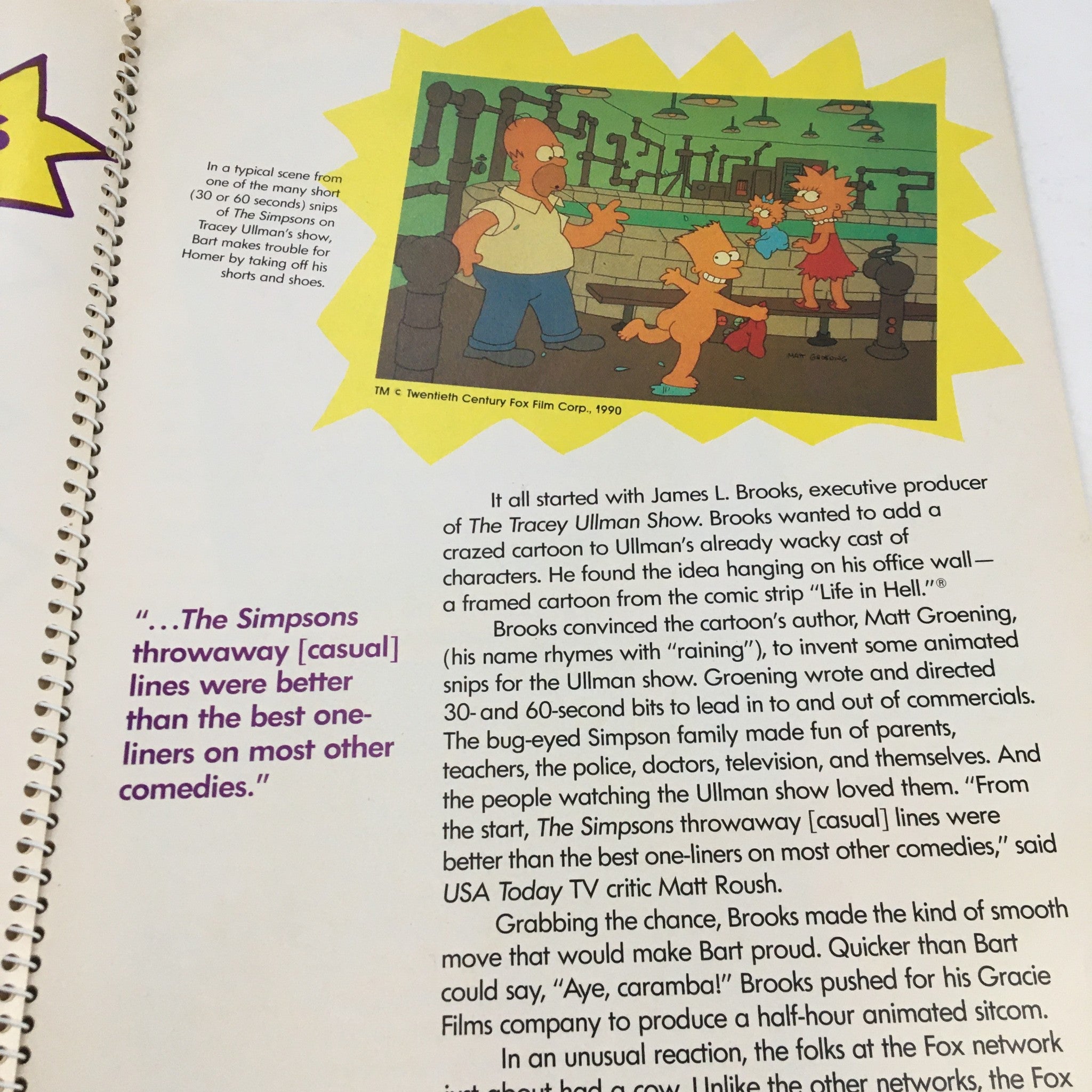 1990 Consumer Guide Presents Simpson Mania The History of TV's First Family