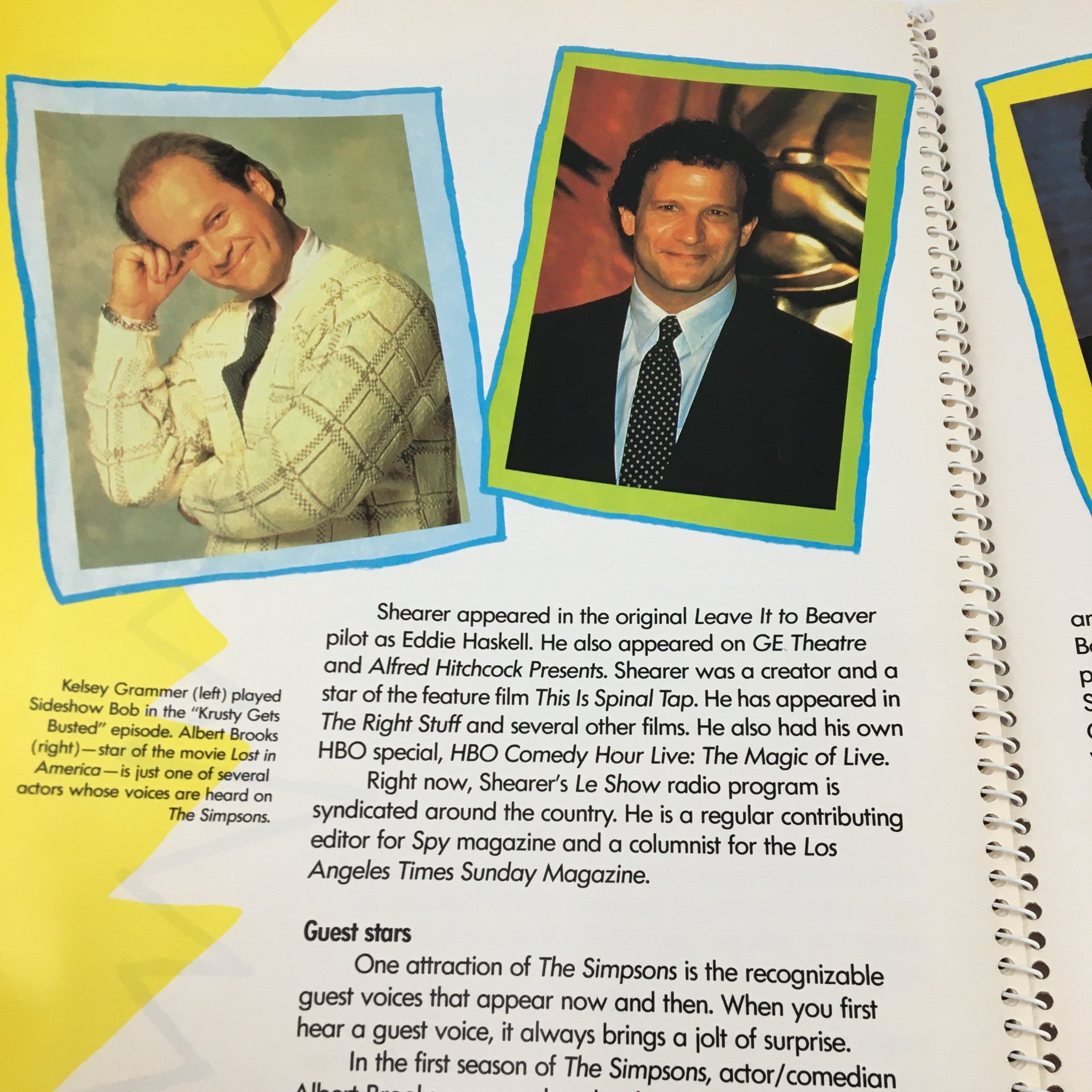 1990 Consumer Guide Presents Simpson Mania The History of TV's First Family