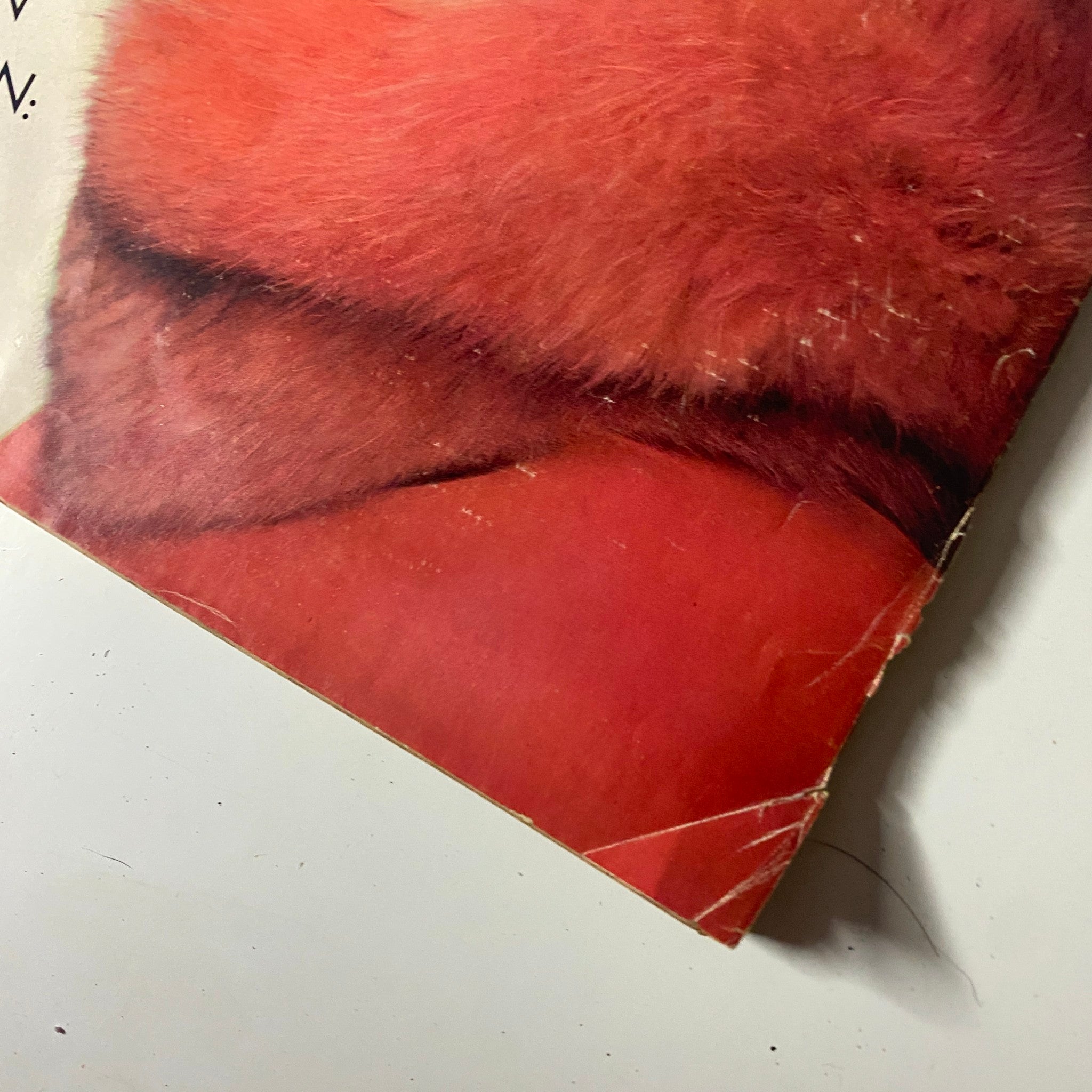 Close-up of the bottom corner of Vogue Magazine, October 1, 1971, showcasing the red fox wrap and corner damage, highlighting the vintage condition of the magazine.
