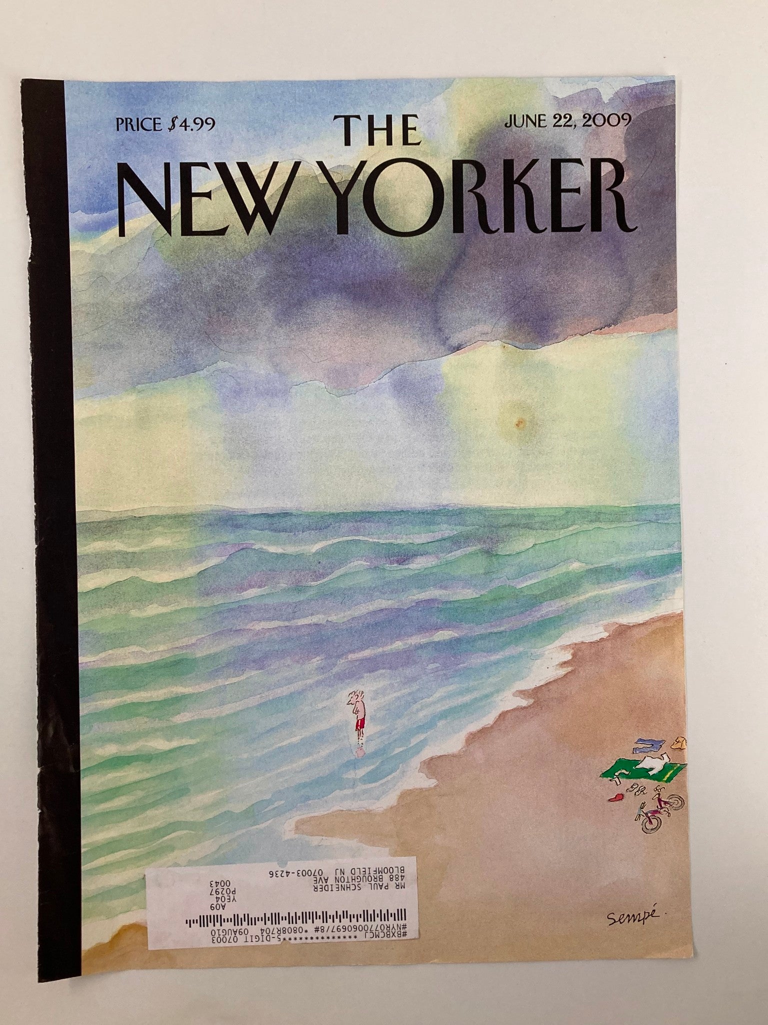 COVER ONLY The New Yorker June 22 2009 Jumping In by Jean-Jacques Sempé