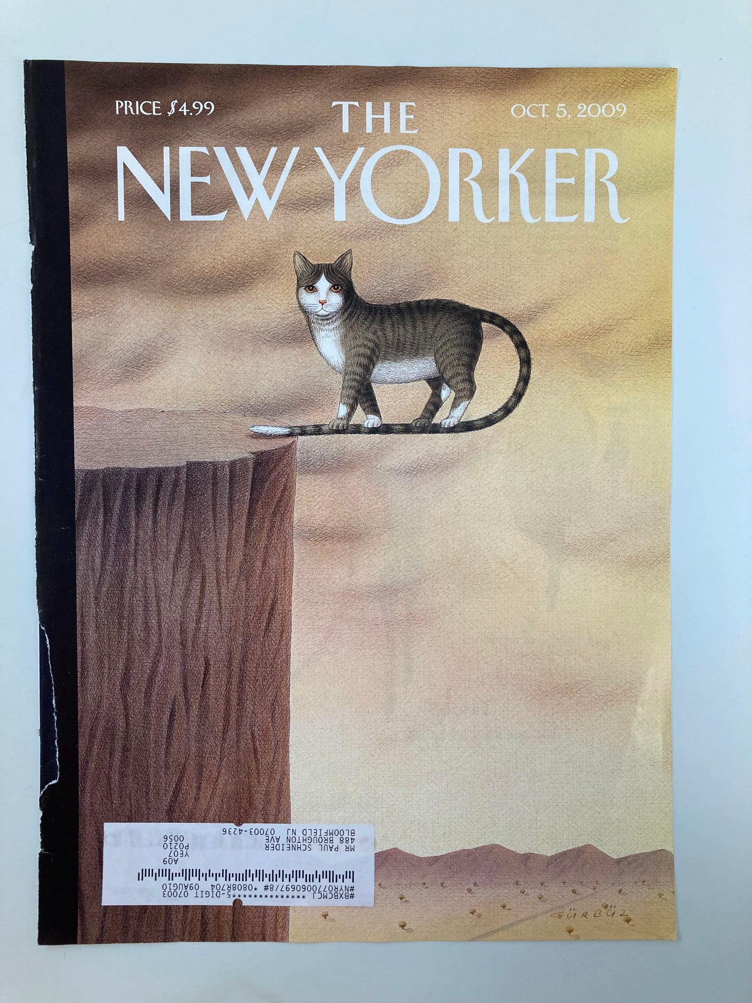 COVER ONLY The New Yorker October 5 2009 On The Edge by Gurbuz Dogan Eksioglu