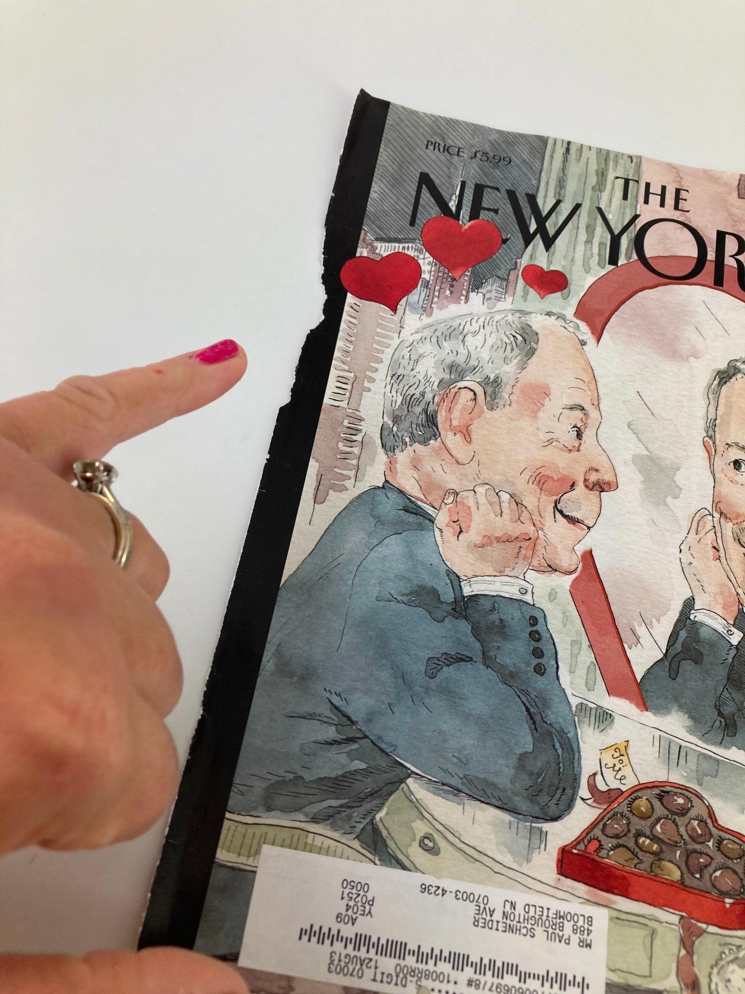 COVER ONLY The New Yorker February 7 2011 Bloom in Love by Barry Blitt