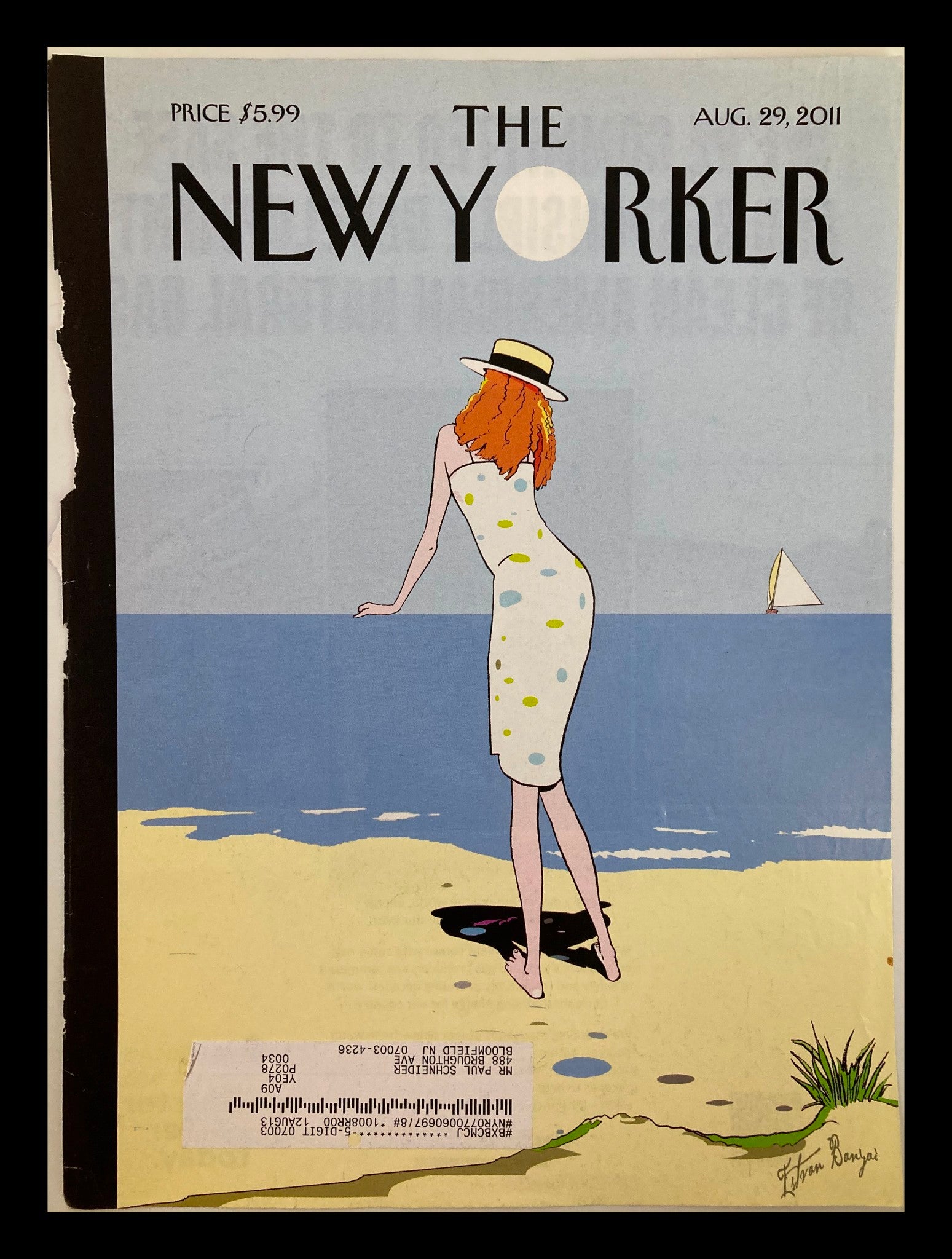 COVER ONLY The New Yorker August 29 2011 On The Horizon by Istvan Banyai