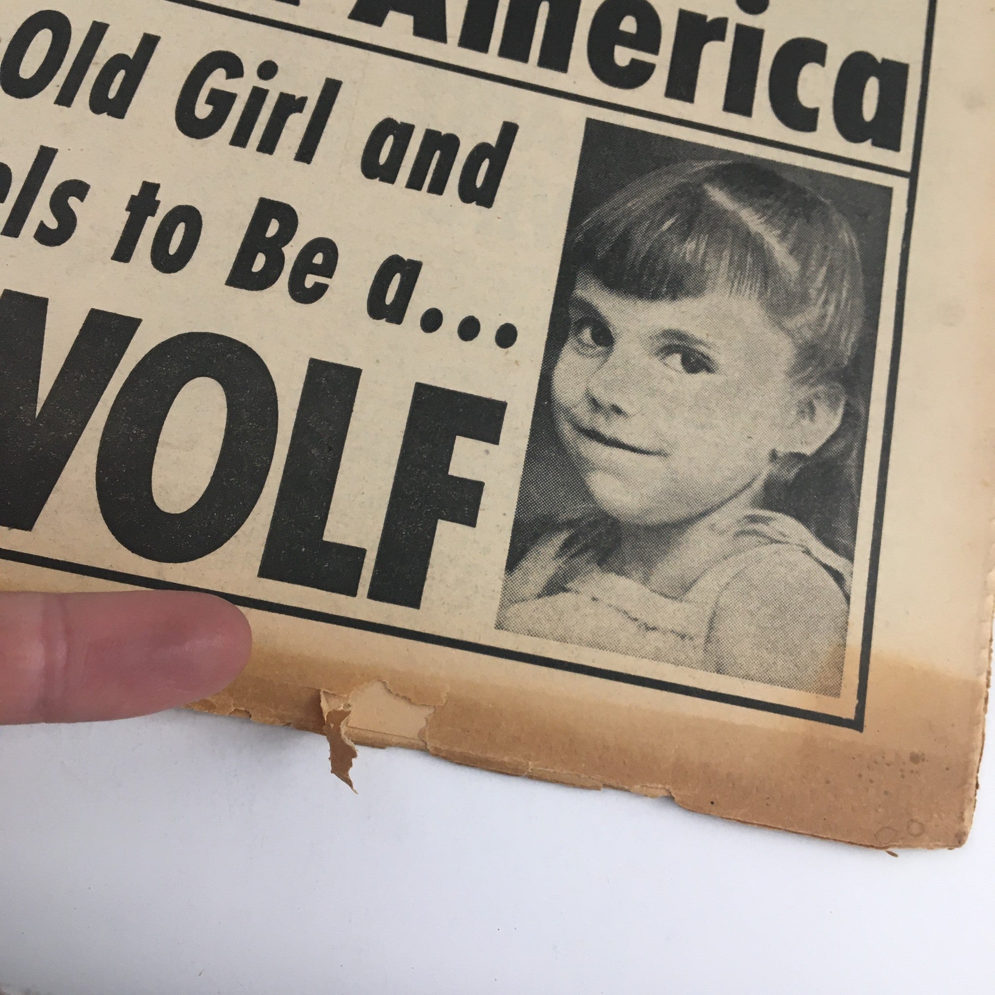 Close-up image of the National Enquirer Newspaper, showing details of the headline about a six-year-old girl and werewolf, along with evidence of minor wear.