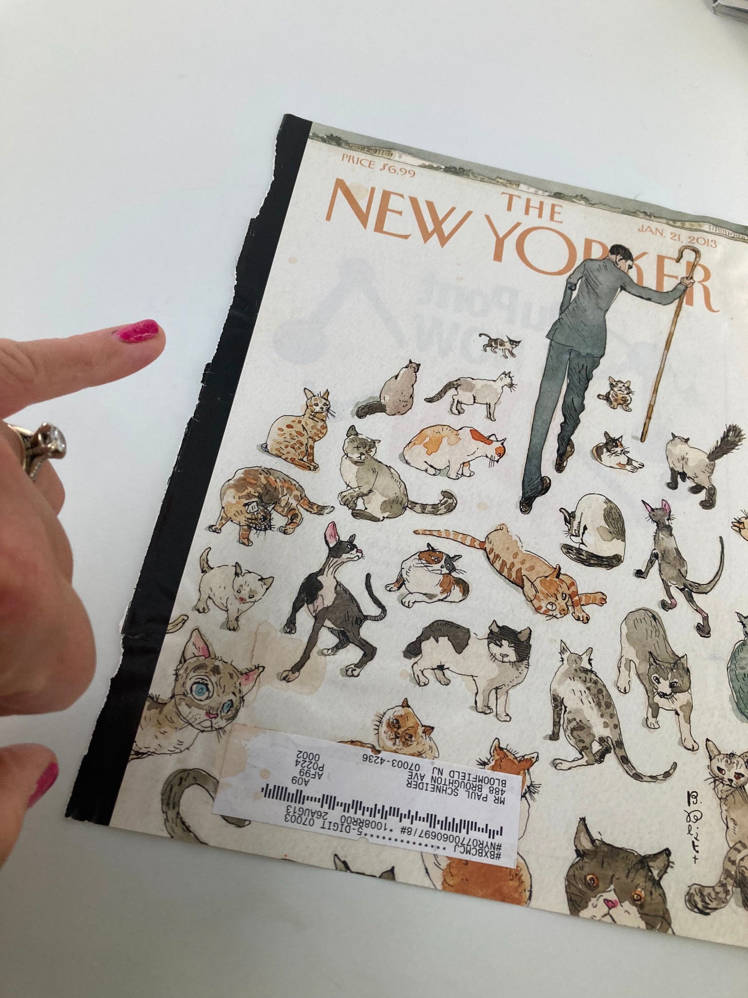 COVER ONLY The New Yorker January 21 2013 Herding Cats by Barry Blitt
