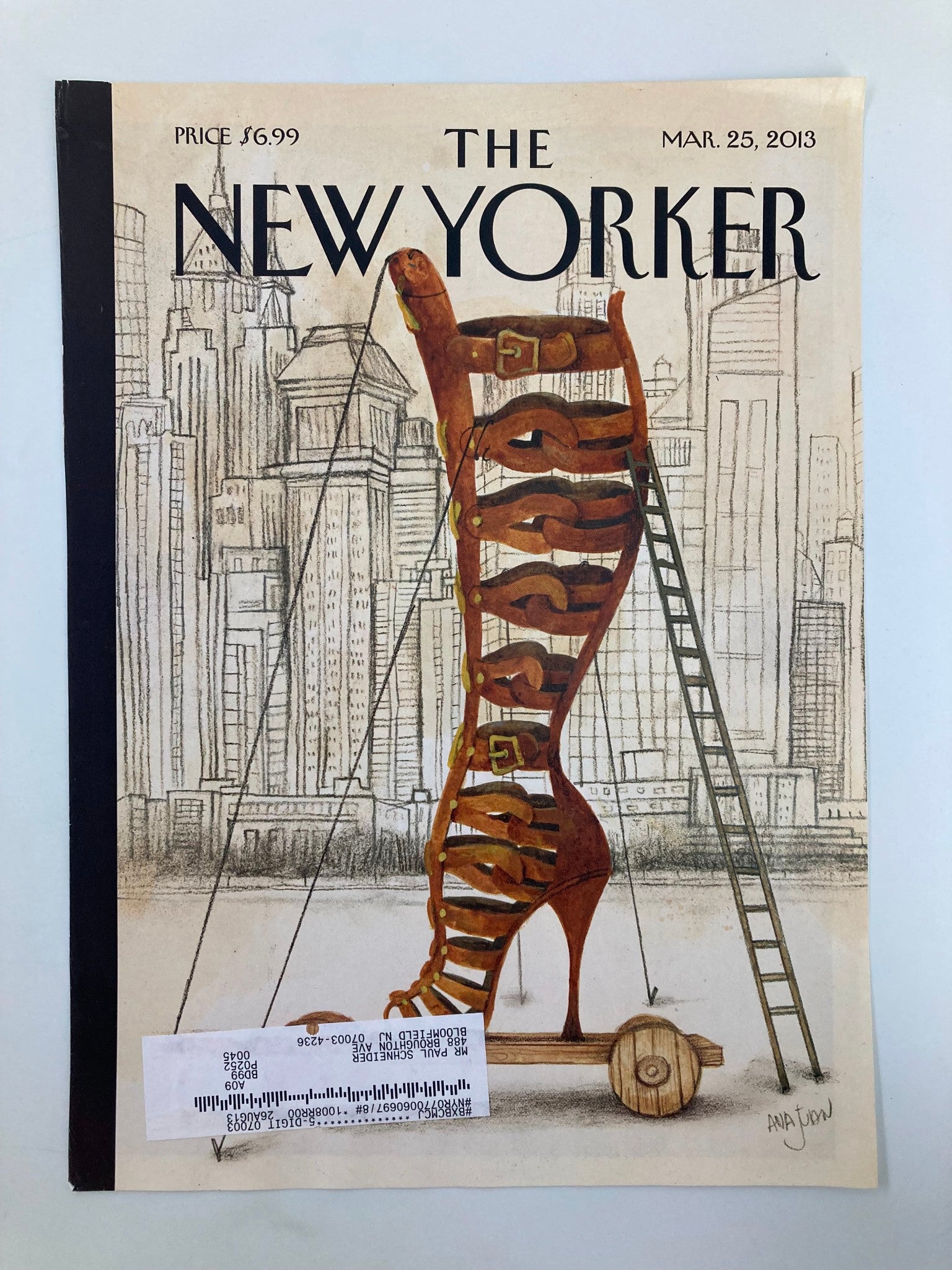 COVER ONLY The New Yorker March 25 2013 Art and Architecture by Ana Juan