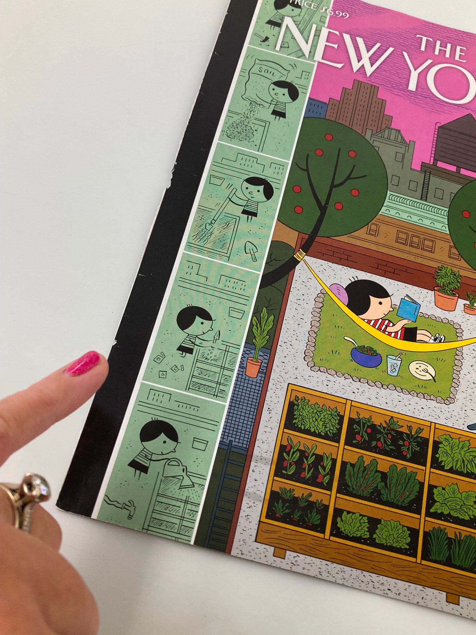 COVER ONLY The New Yorker July 1 2013 Garden Reading by Ivan Brunetti