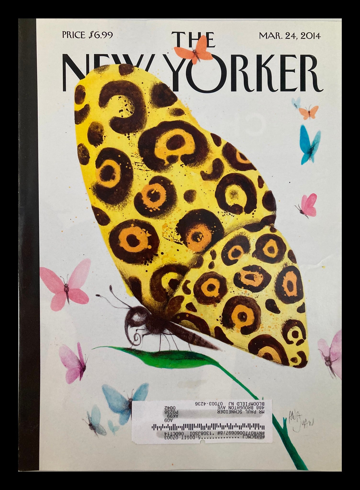 COVER ONLY The New Yorker March 24 2014 Metamorphosis by Ana Juan