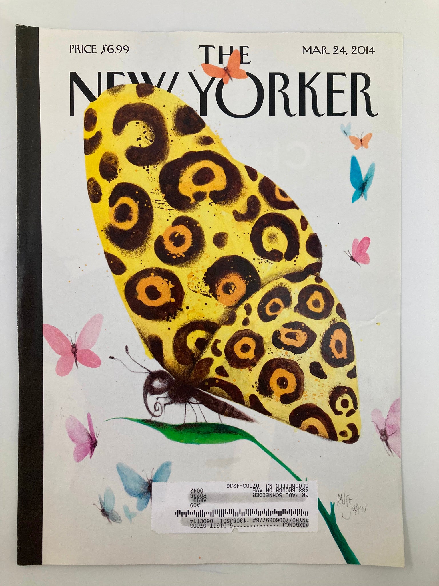 COVER ONLY The New Yorker March 24 2014 Metamorphosis by Ana Juan