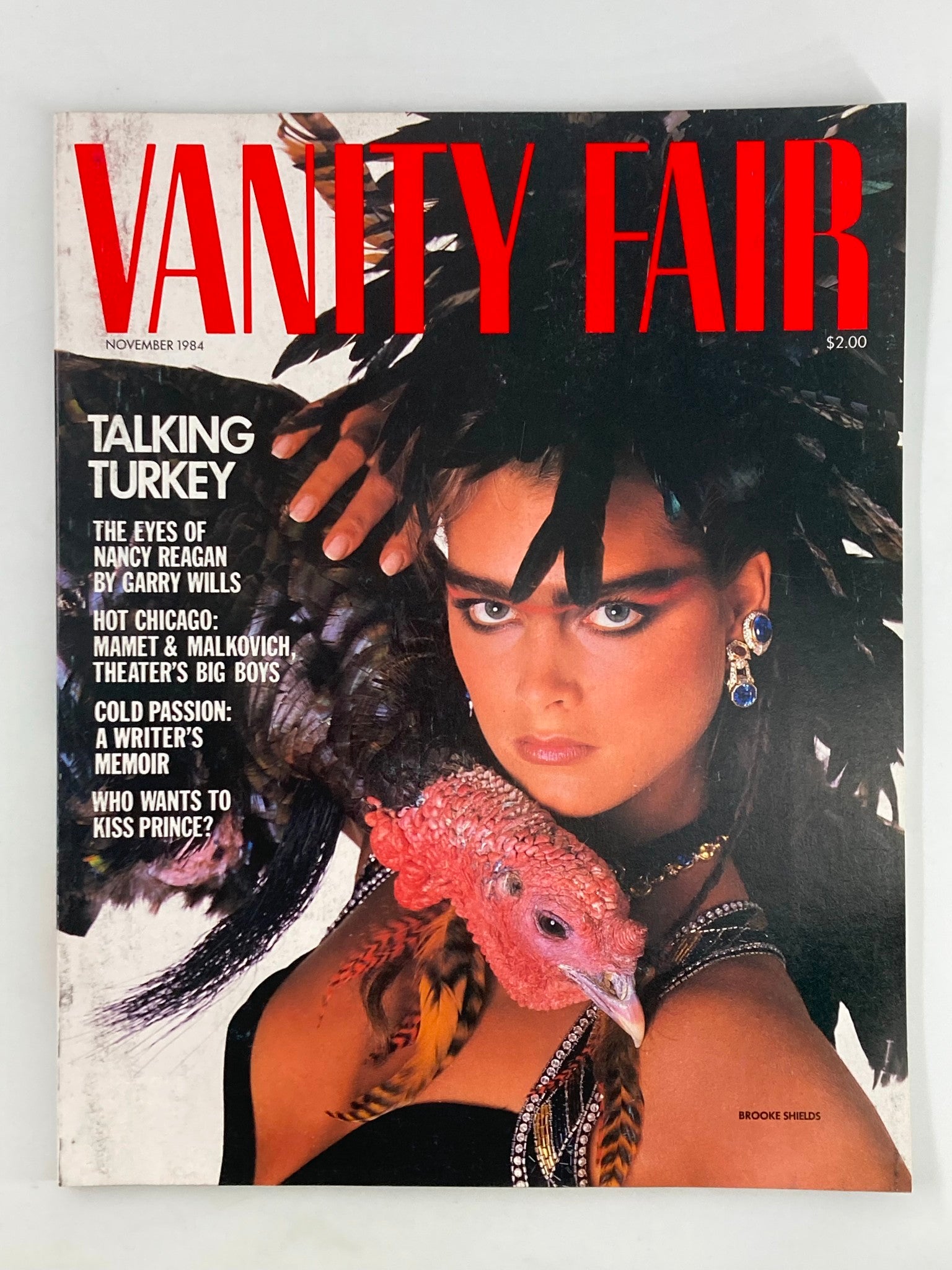 VTG Vanity Fair Magazine November 1984 Brooke Shields Talking Turkey No Label