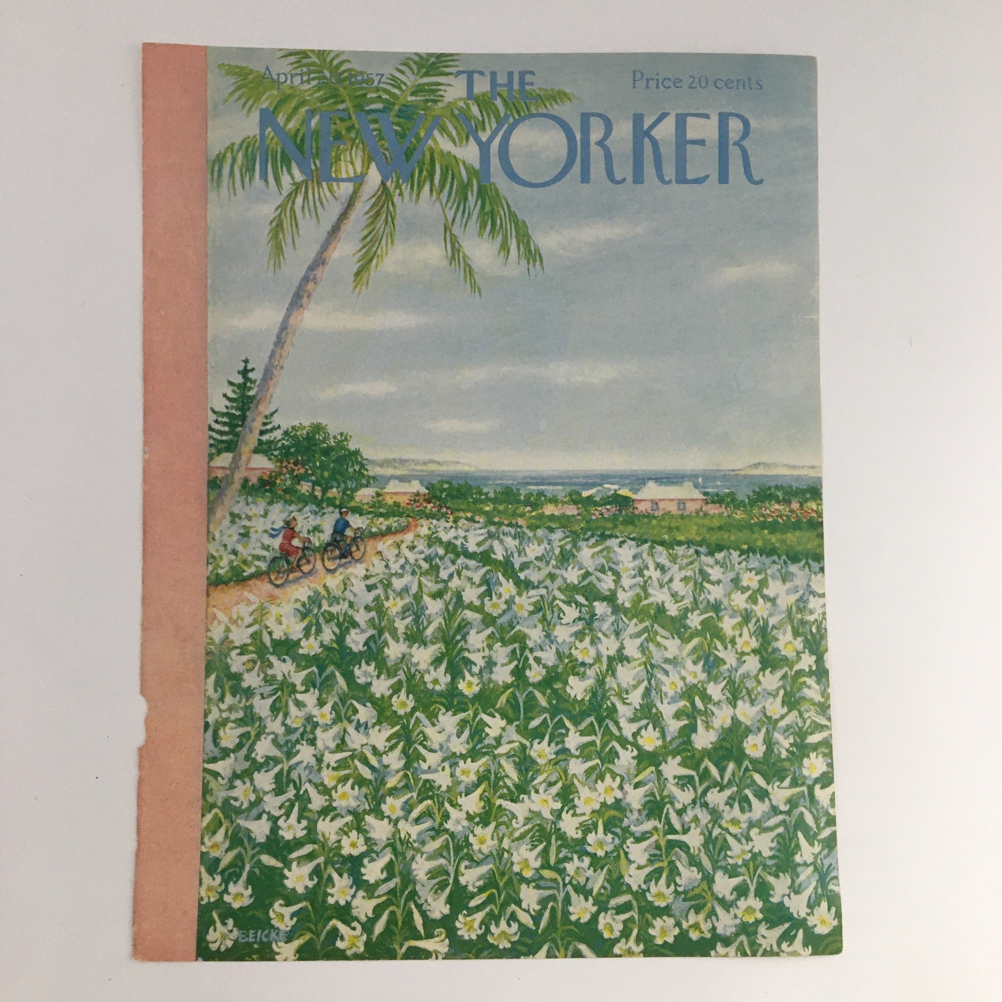 The New Yorker April 20 1955 cover art depicting a picturesque scene of cyclists riding through a field of white flowers under palm trees, created by artist Edna Eicke.