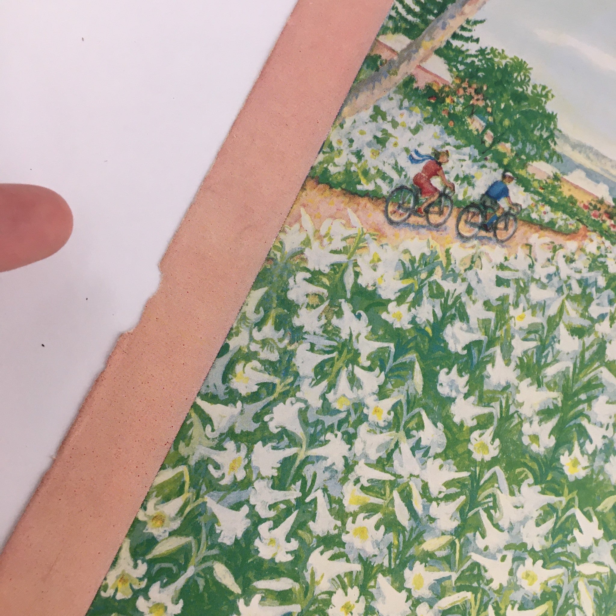 Close-up of The New Yorker April 20 1955 cover showcasing a vibrant illustration of cyclists, a flower-filled path, and palm trees, designed by Edna Eicke.
