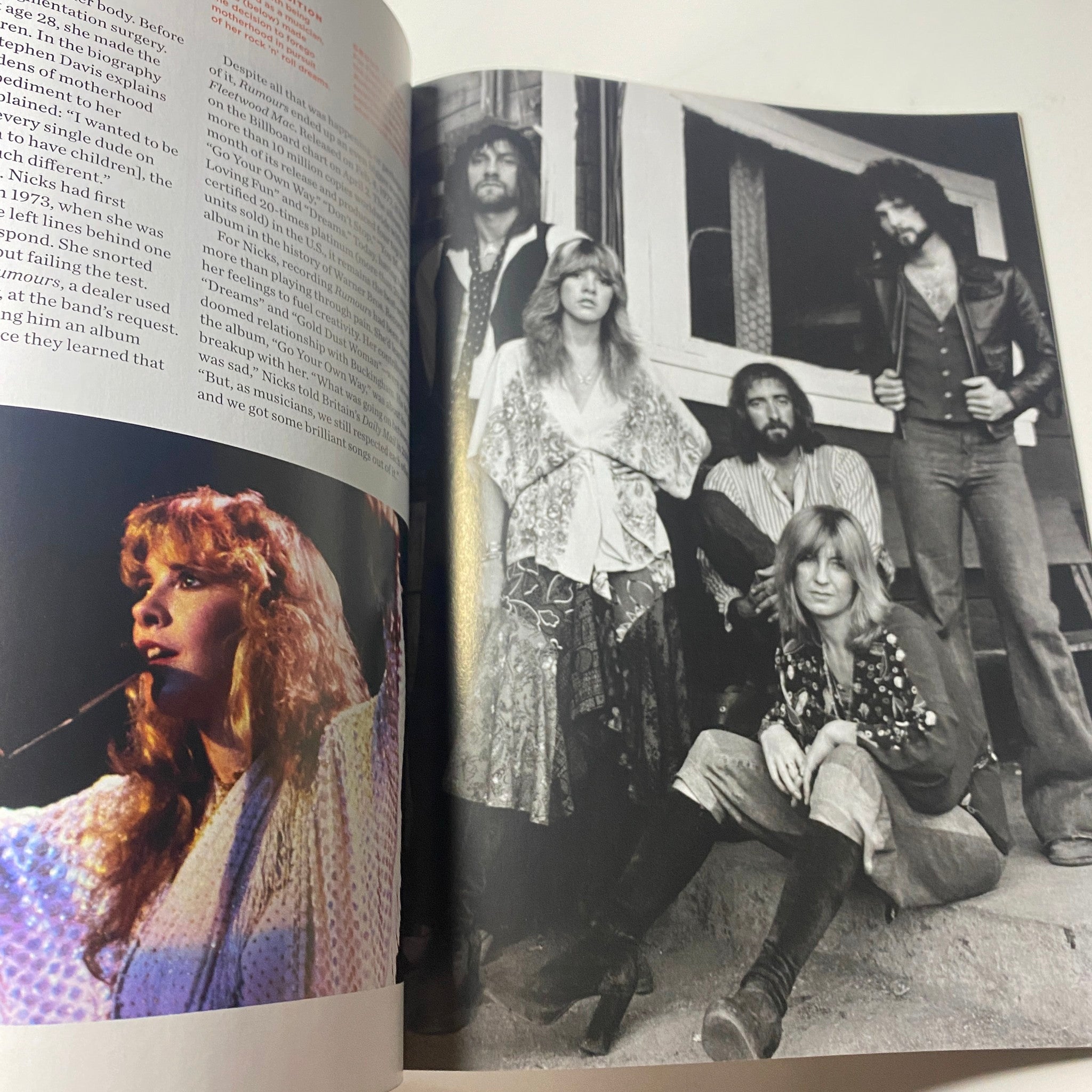 Inside page of 'Stevie Nicks Photo Book' showcasing a group shot of Fleetwood Mac members, including Stevie Nicks, emphasizing the band's iconic presence and camaraderie in a vintage setting.