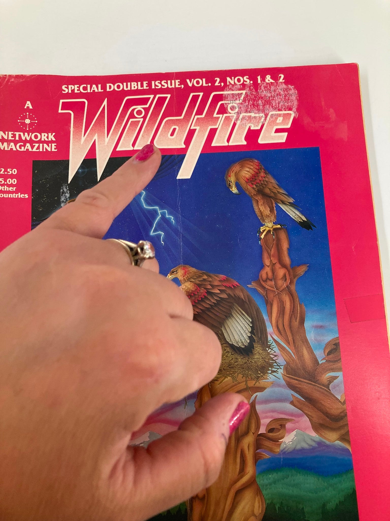 Wildfire Network Magazine Vol 2 No. 1 & 2 Communities Around The World