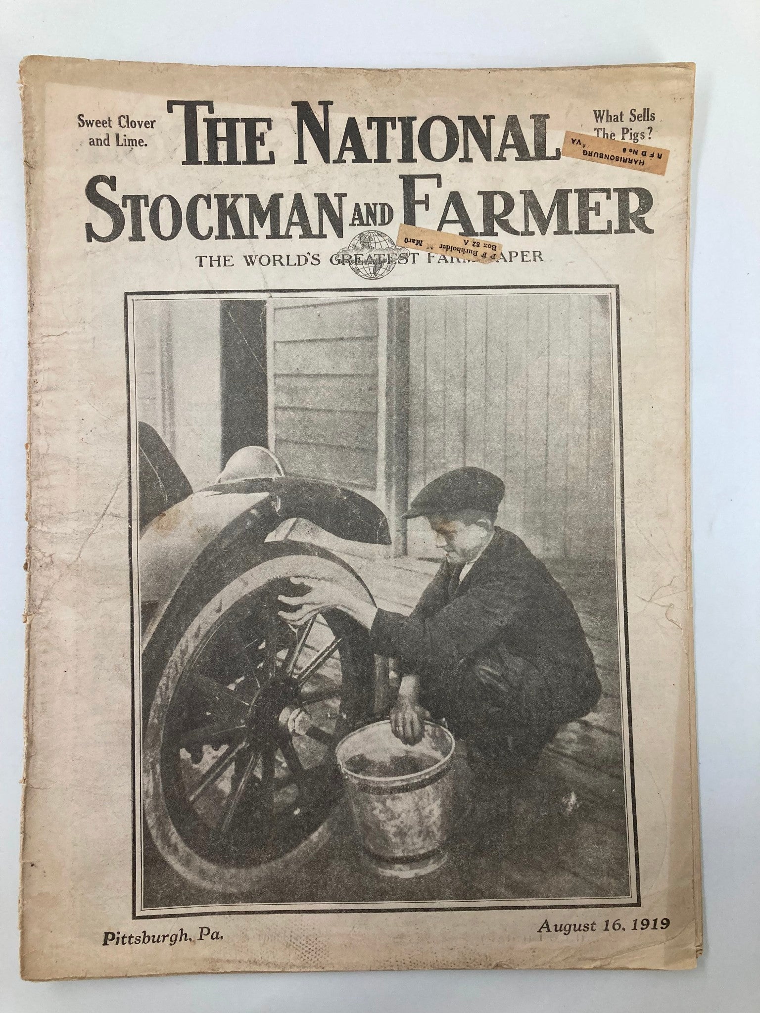 VTG The National Stockman and Farmer August 16 1919 That Have to Fight For Life