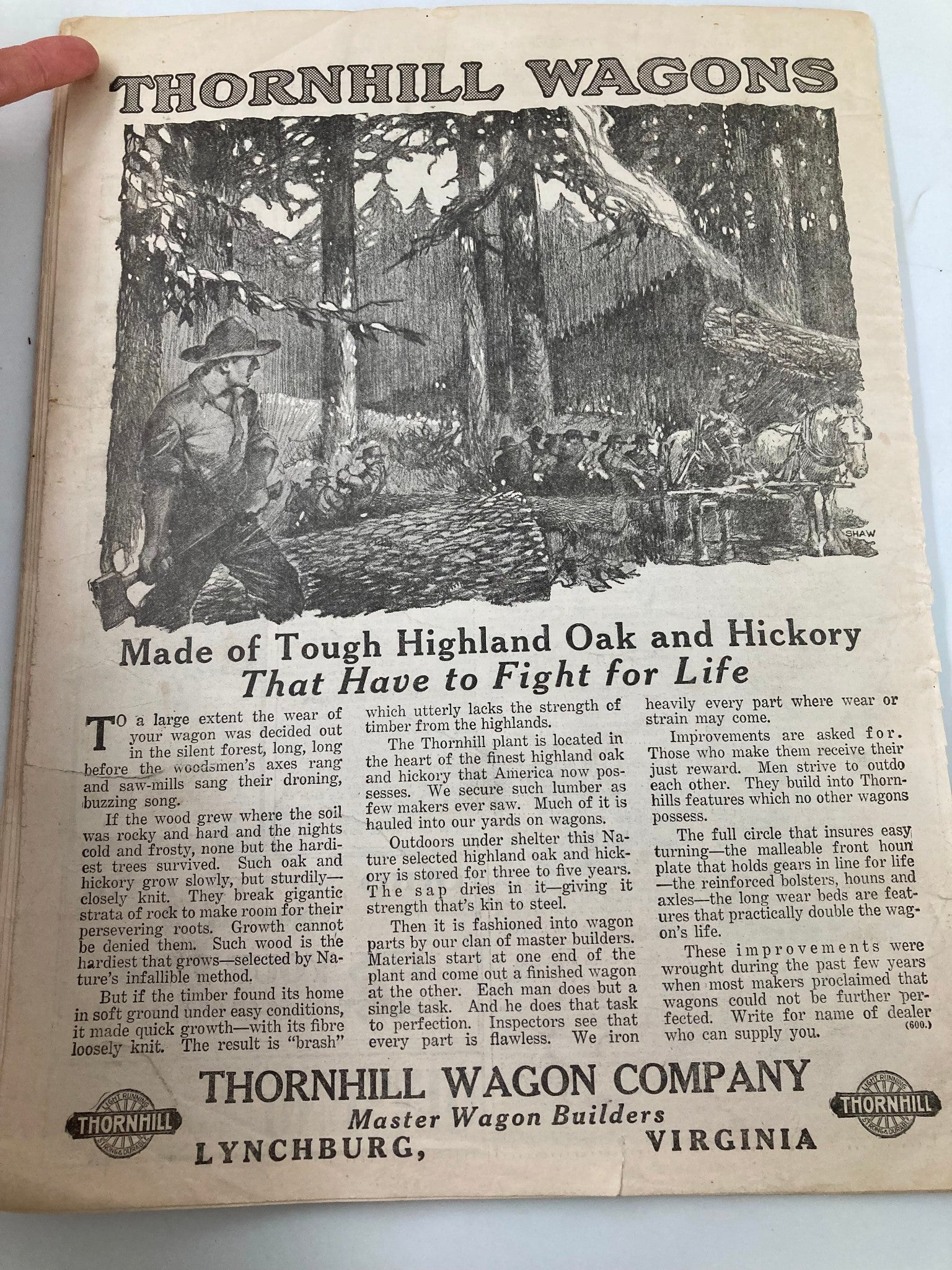 VTG The National Stockman and Farmer August 16 1919 That Have to Fight For Life