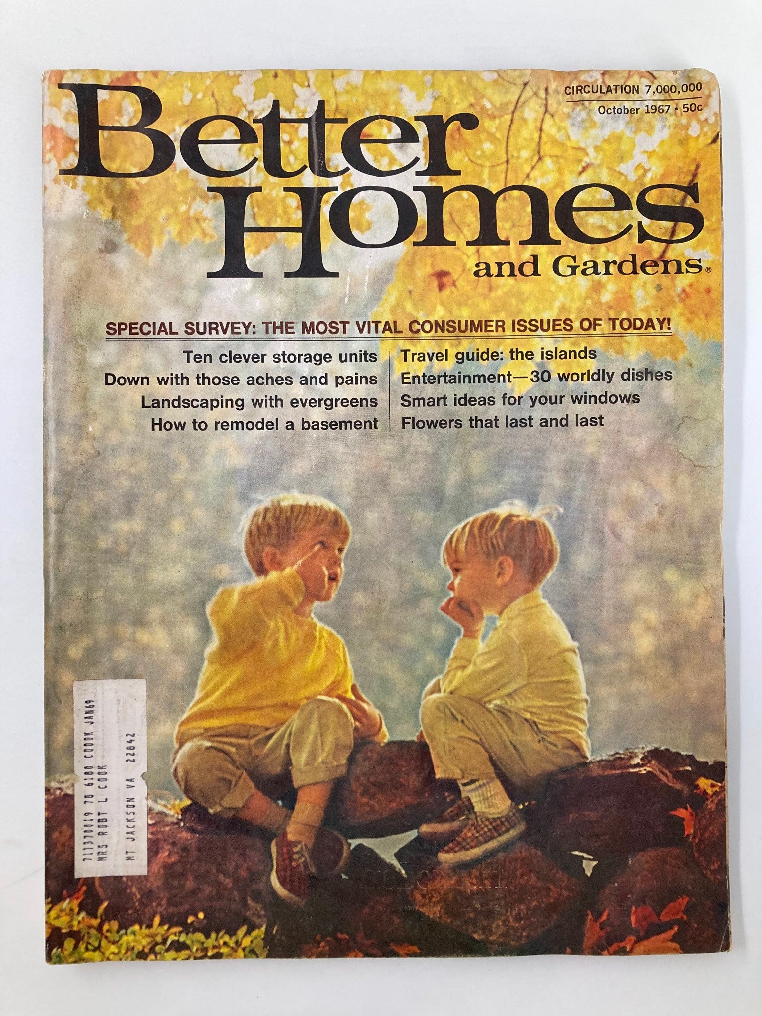 VTG Better Homes and Gardens Magazine October 1967 Landscaping with Evergreens