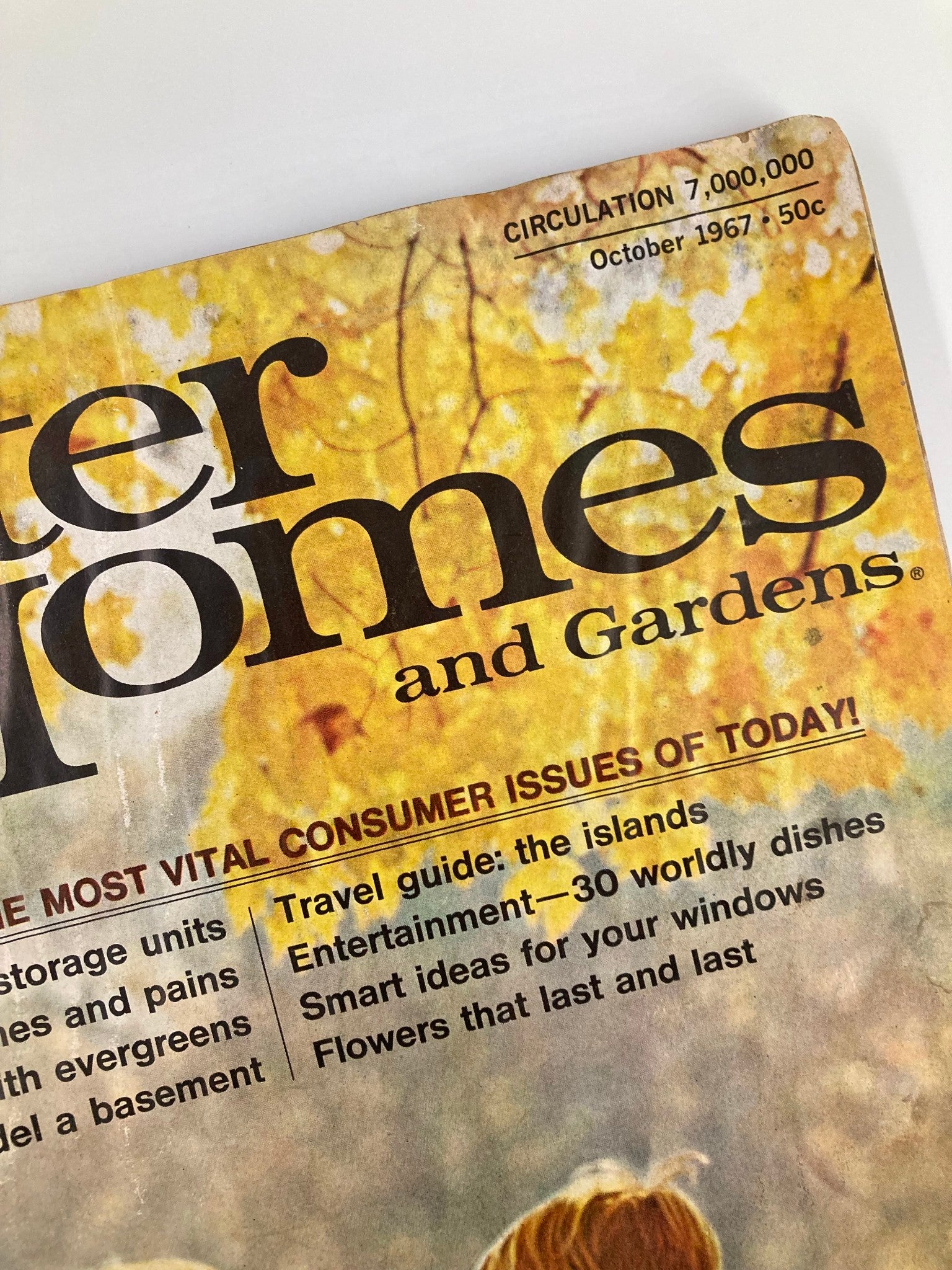 VTG Better Homes and Gardens Magazine October 1967 Landscaping with Evergreens