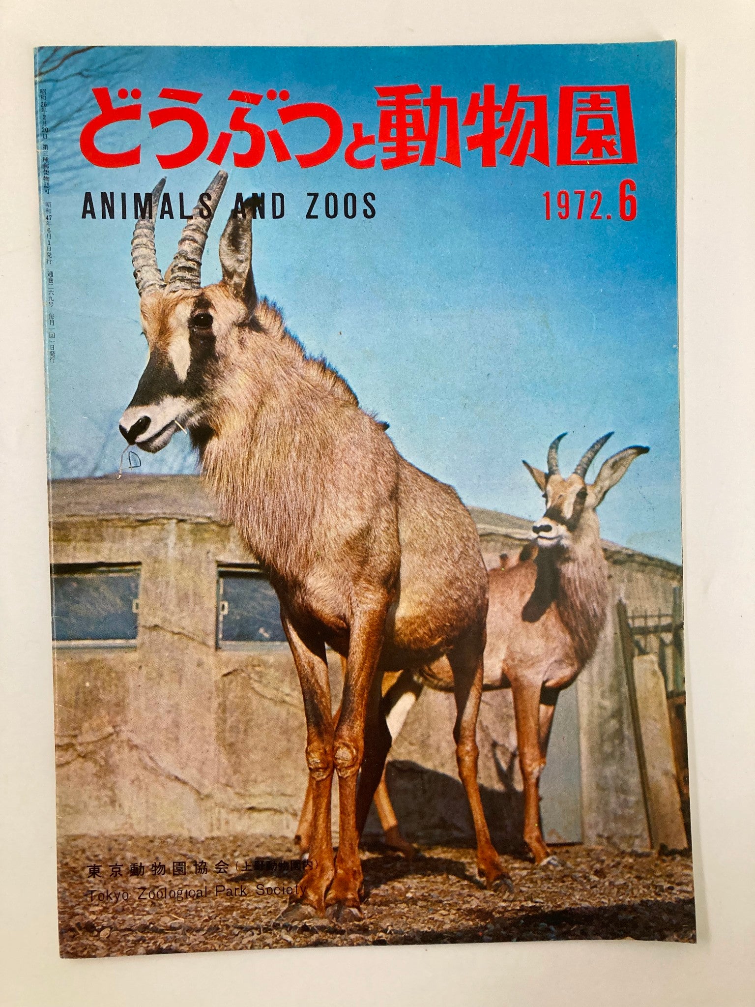 Cover of the VTG Animals and Zoos Magazine from 1972, featuring a majestic Roan Antelope at the Tokyo Zoological Park, highlighting wildlife and zoo culture in Japan.