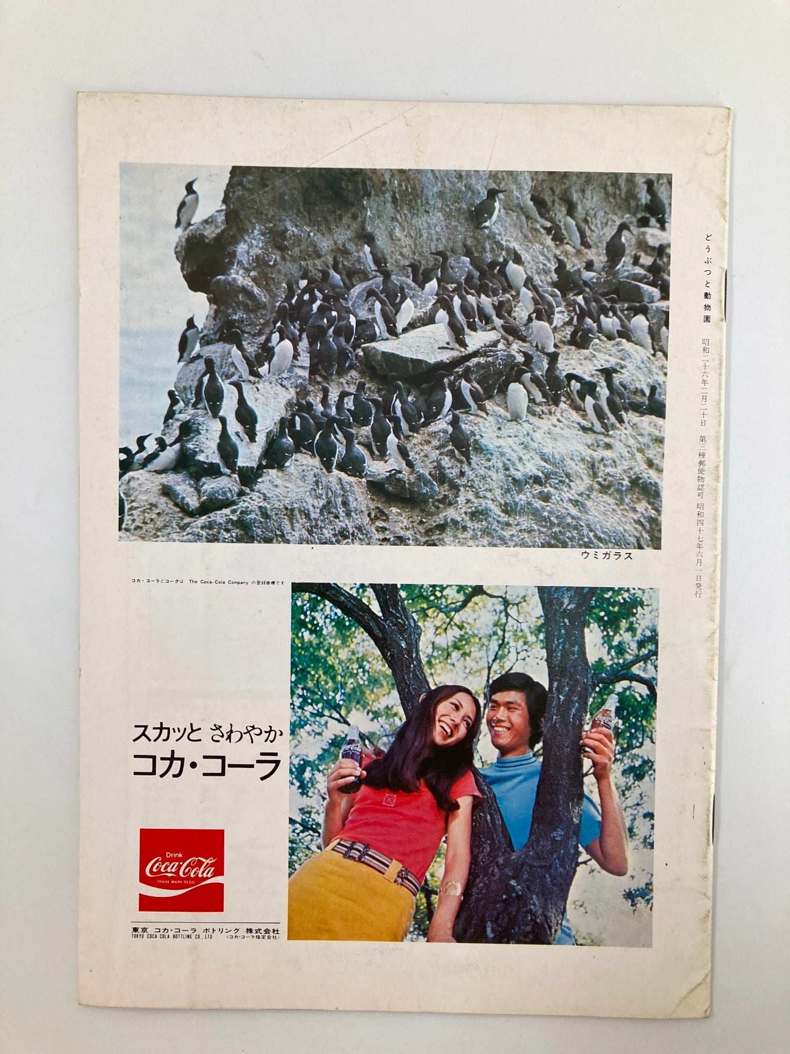 Back cover of the VTG Animals and Zoos Magazine 1972 Tokyo Zoological Park Society, featuring images of penguins and a vintage Coca-Cola advertisement, showcasing the magazine's nostalgic theme and wildlife focus.