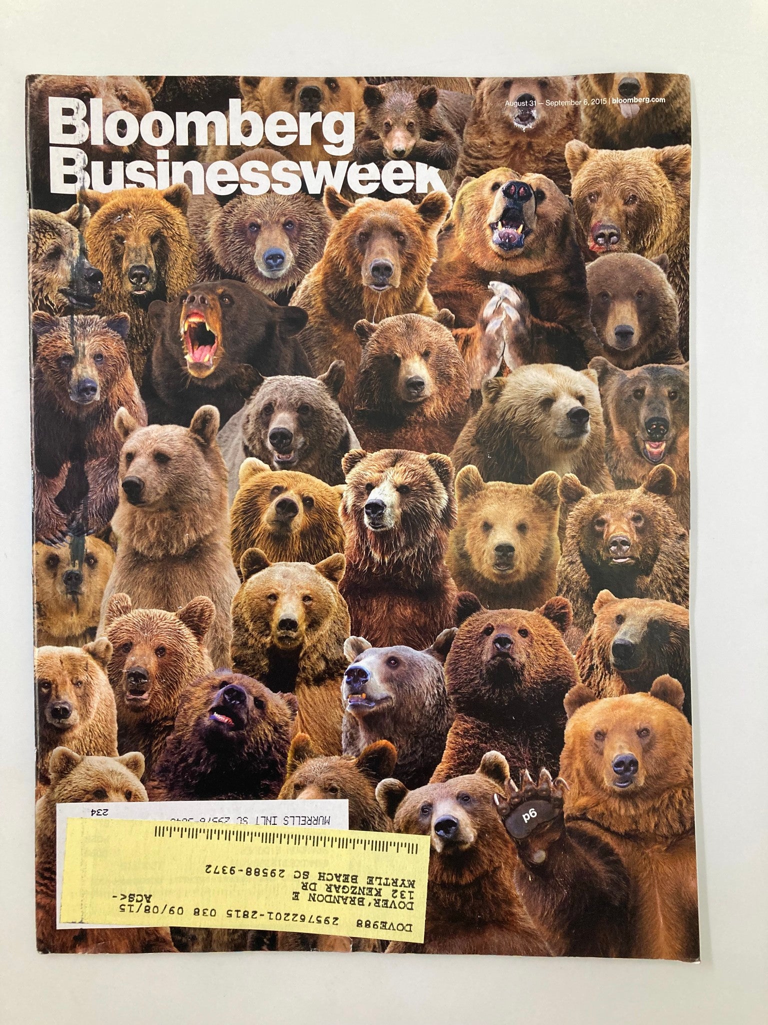 Bloomberg Businessweek Magazine August 31 2015 What If There Were More Bears?