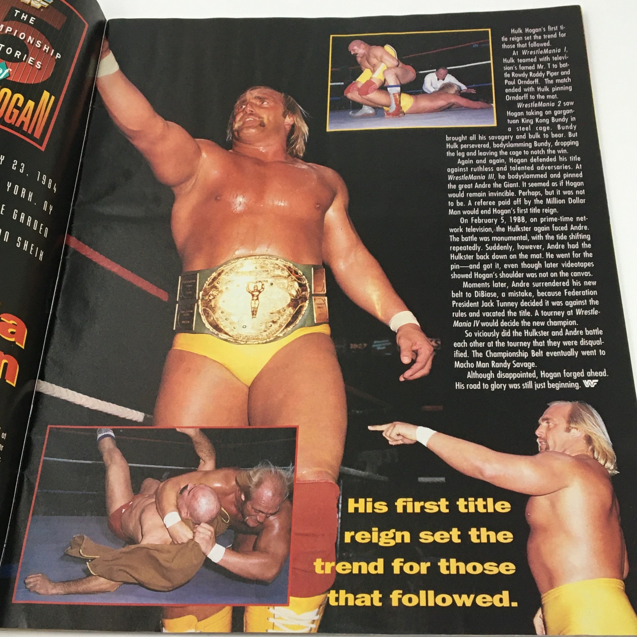 WWF Wrestling Spotlight Magazine 1991 Vol #21 Hulk Hogan, No Poster No Label