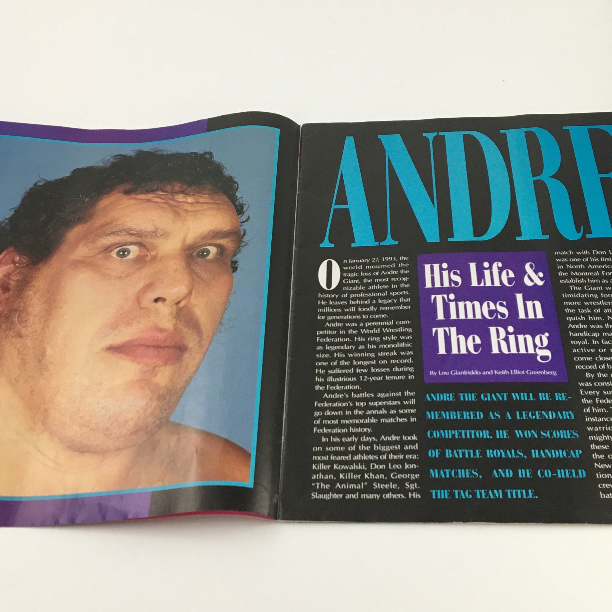 WWF Wrestling Spotlight Special 1993 Vol 20 Andre The Giant, No Label