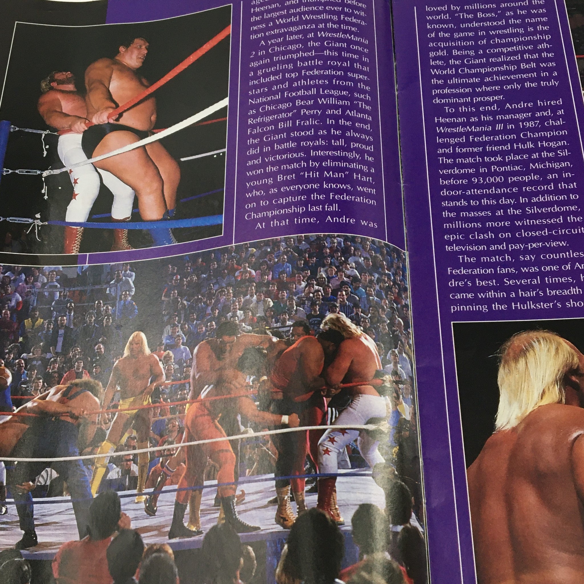 WWF Wrestling Spotlight Special 1993 Vol 20 Andre The Giant, No Label