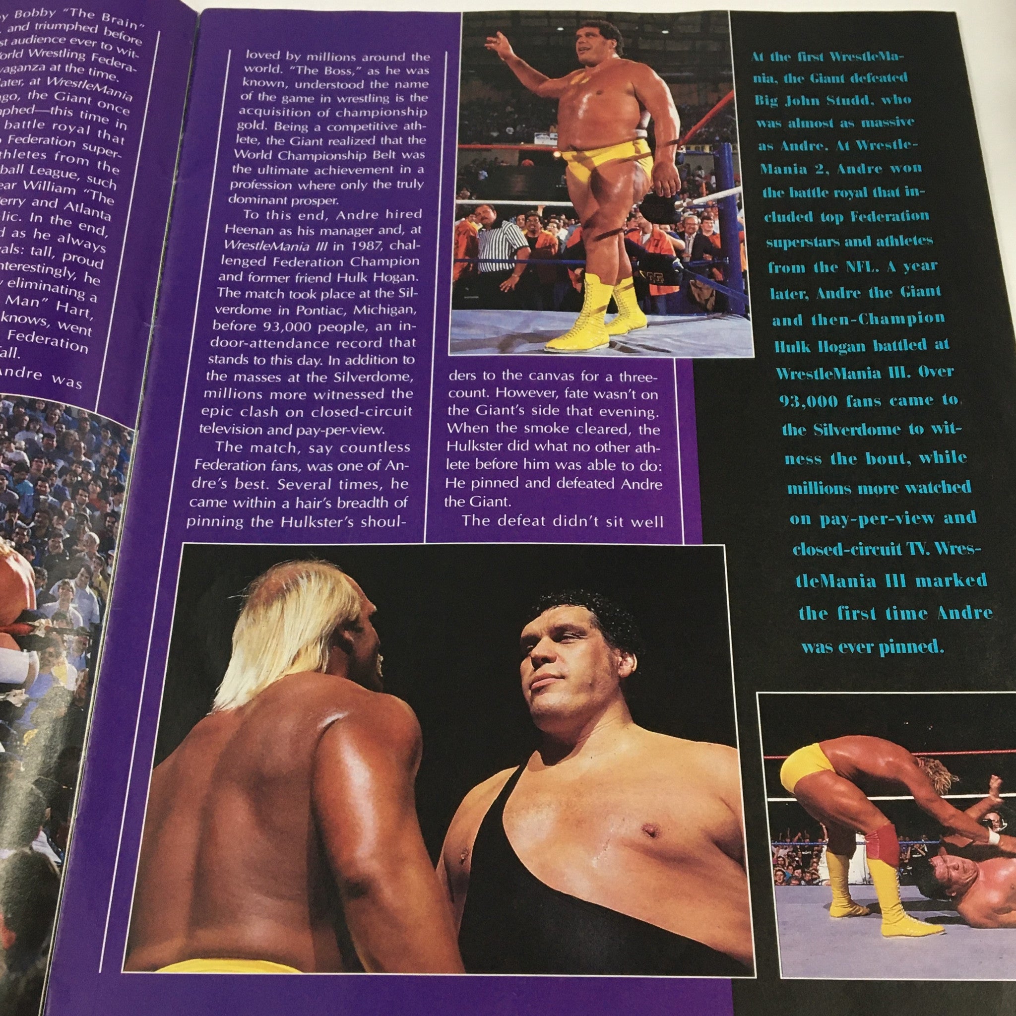 WWF Wrestling Spotlight Special 1993 Vol 20 Andre The Giant, No Label