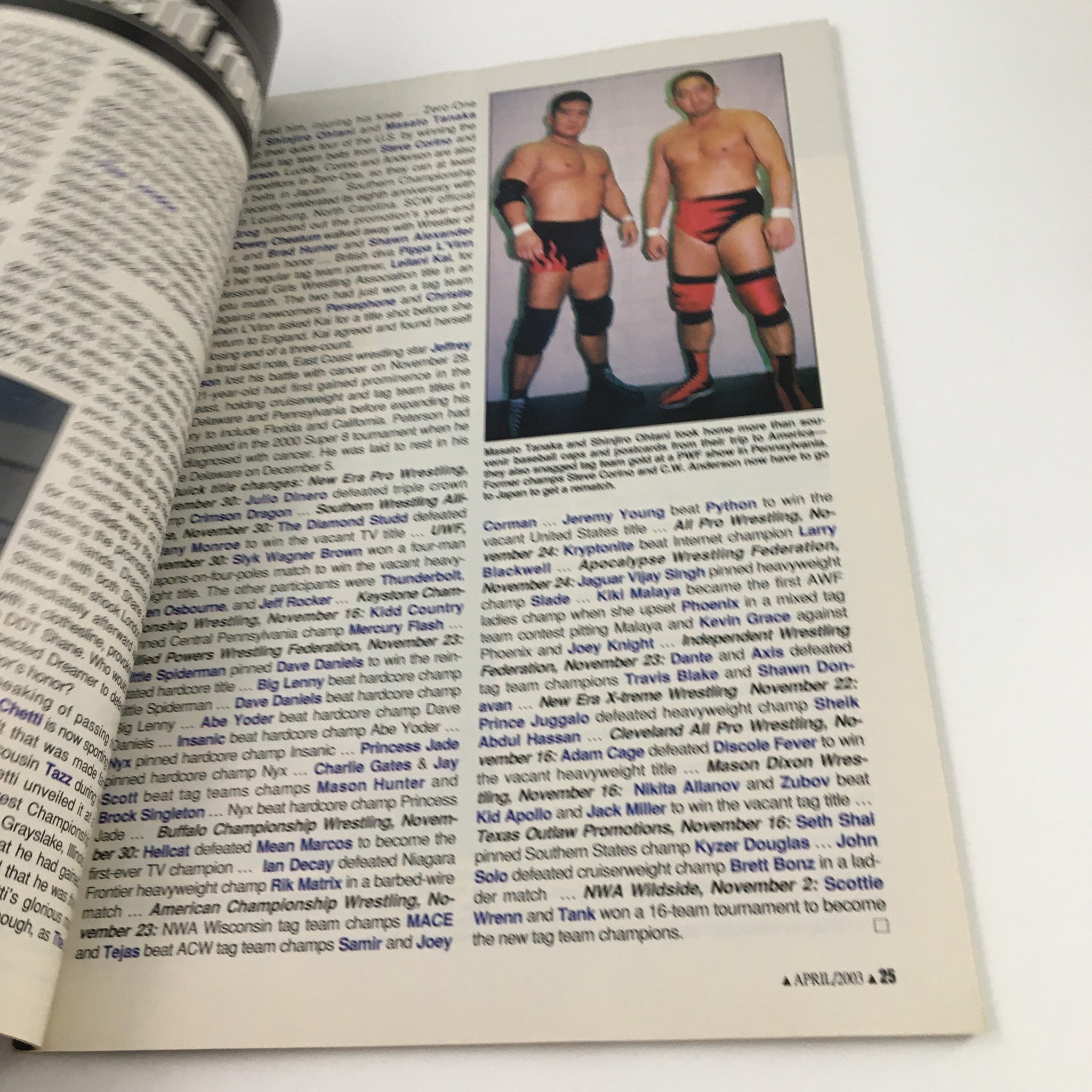 Another article page from Pro Wrestling Illustrated Magazine April 2003 showcasing the profile of wrestling tag teams and champions.