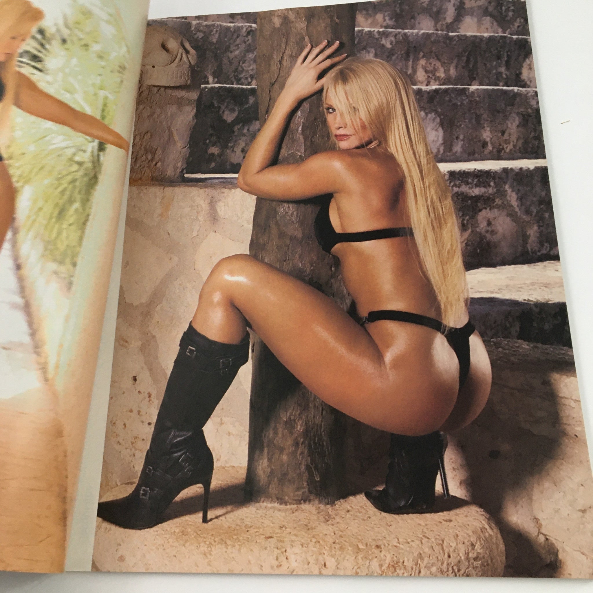 WWE Divas Magazine 2004 Torrie Wilson, Trish Cam, Miss Jackie No Label