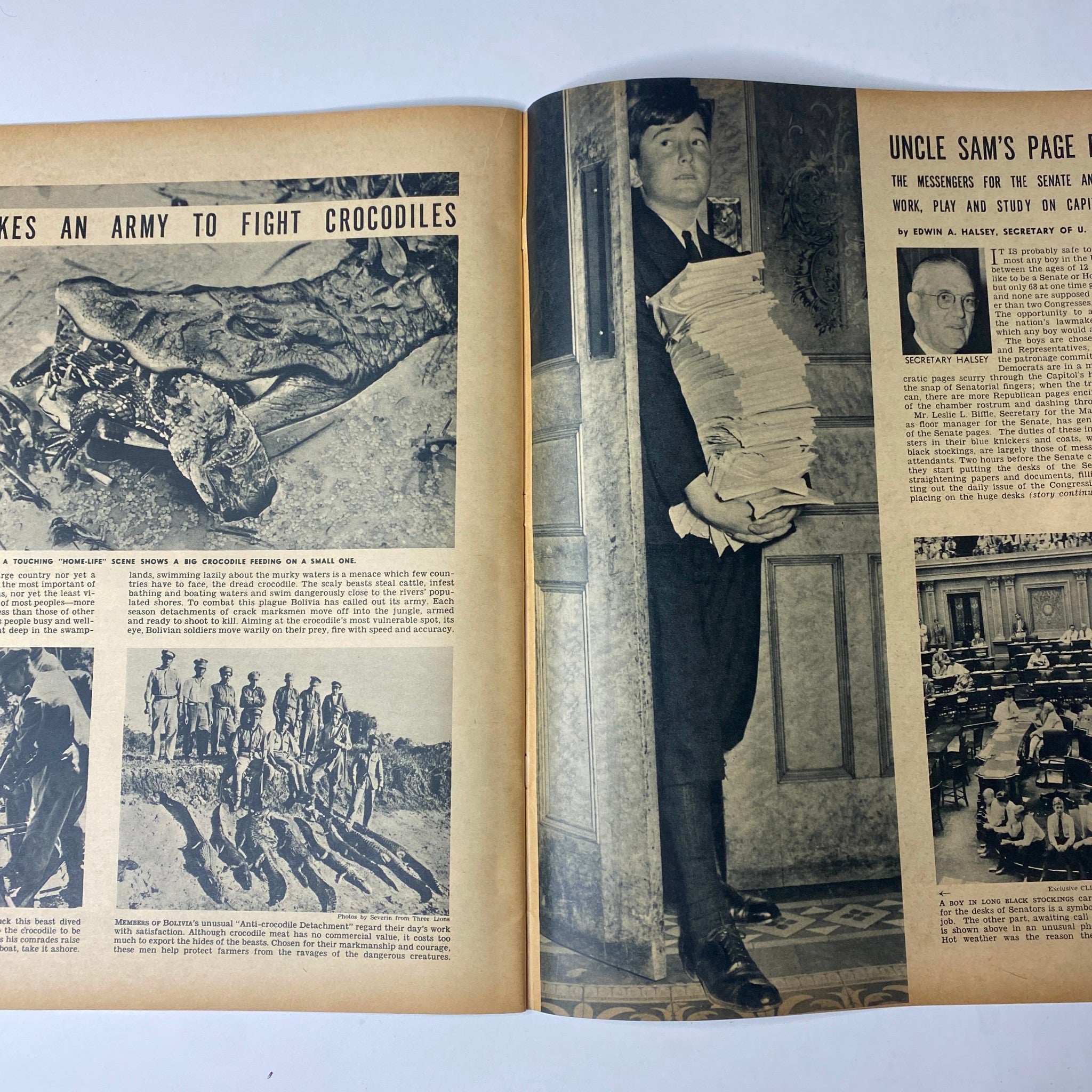 Feature article layout in Click Magazine, March 1941, Volume 4, No. 3, titled 'It Takes an Army to Fight Crocodiles', showcasing an intriguing historical commentary alongside a photograph of military personnel.