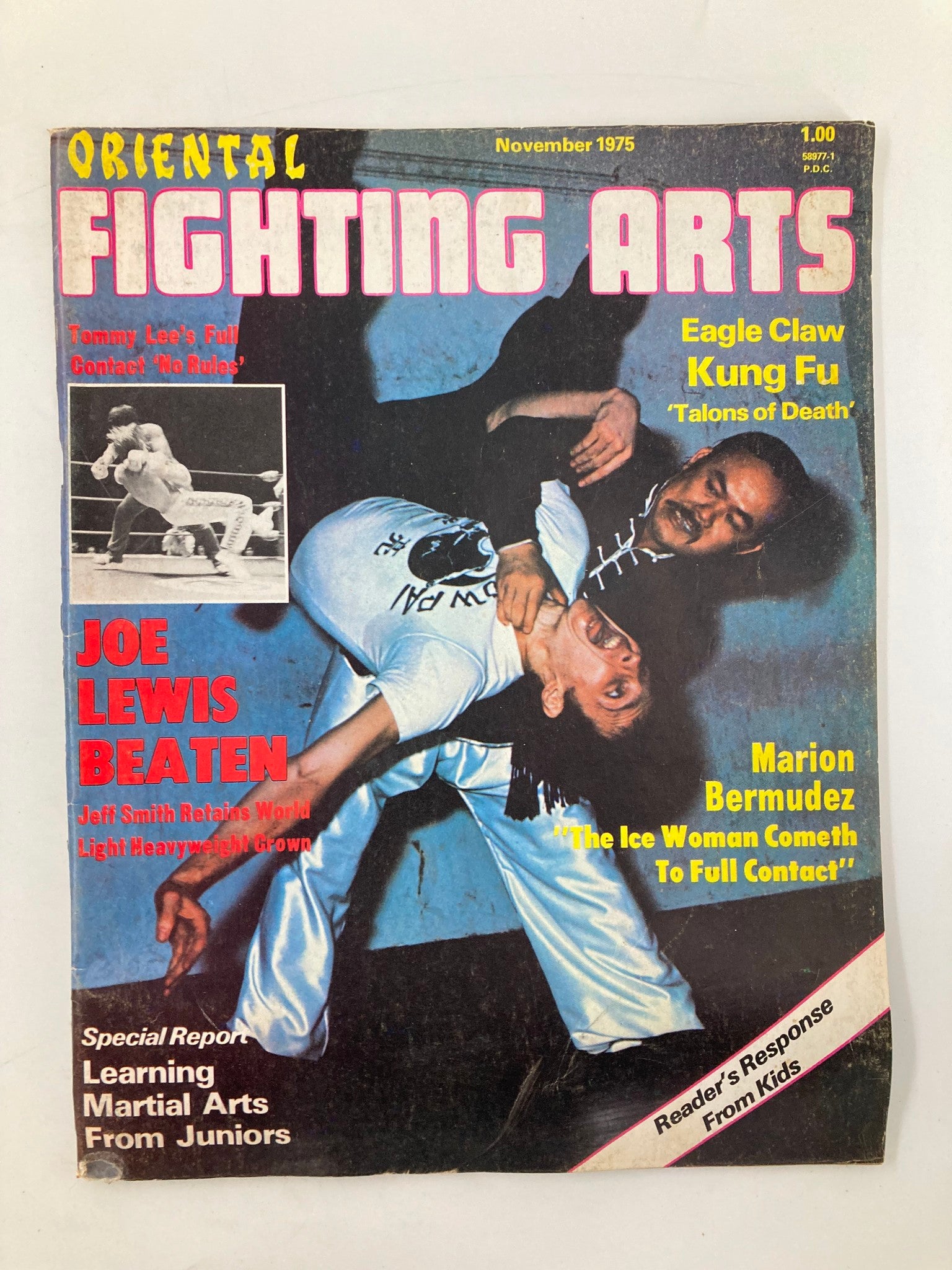 Cover of the VTG Oriental Fighting Arts Magazine November 1975 featuring an article on Joe Lewis Beaten, showcasing martial arts highlights of the era.