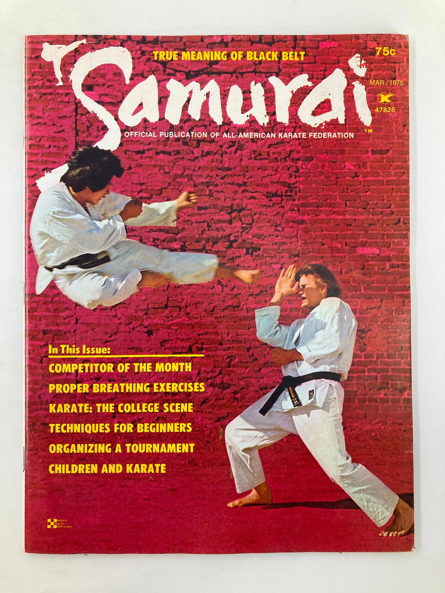 VTG Samurai Magazine March 1975 Ken Tambara's Technique for Beginners No Label