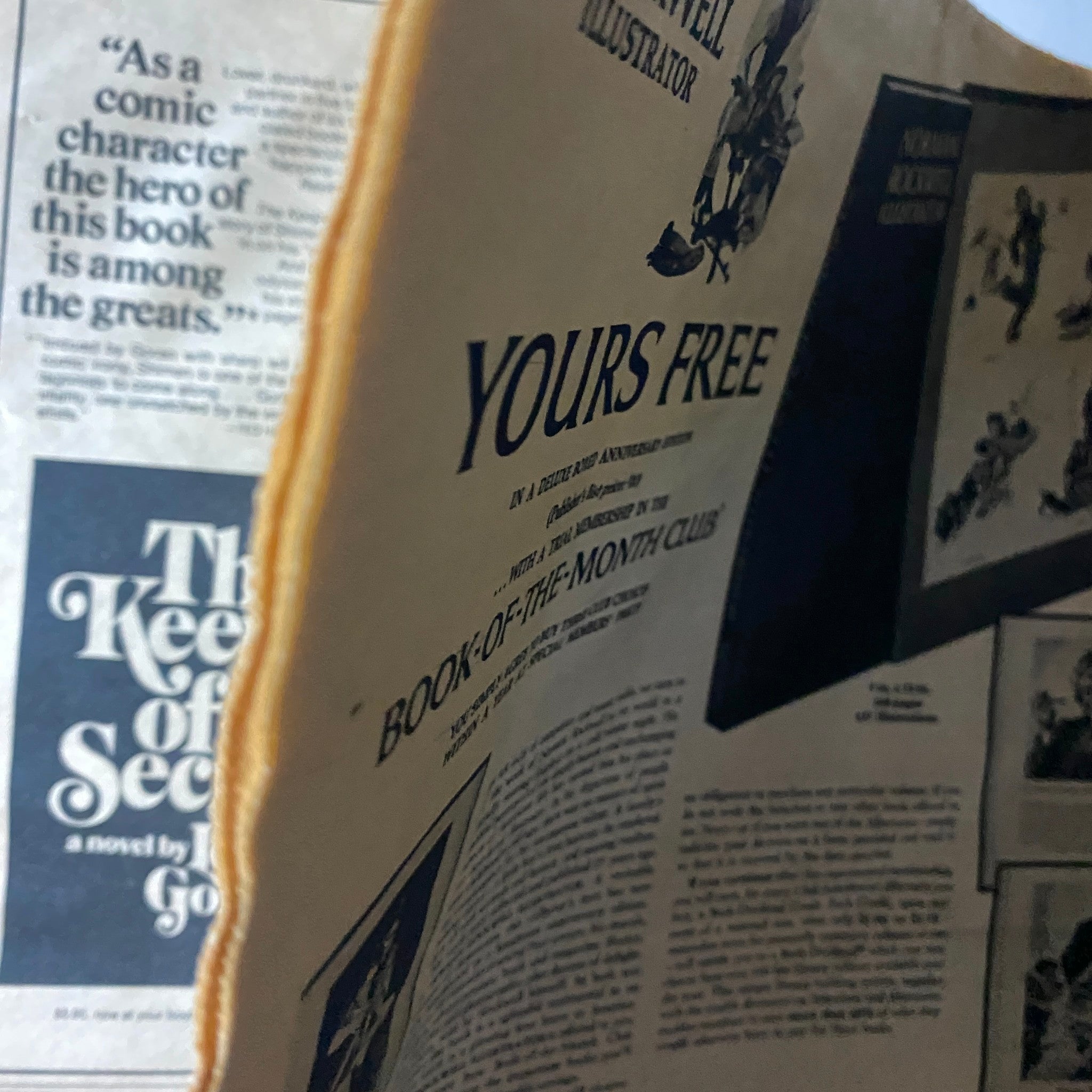 Detailed view of an advertisement page from The New York Times Book Review June 6 1971, showcasing illustrated content and promotional materials related to summer reading and the Book-of-the-Month Club.