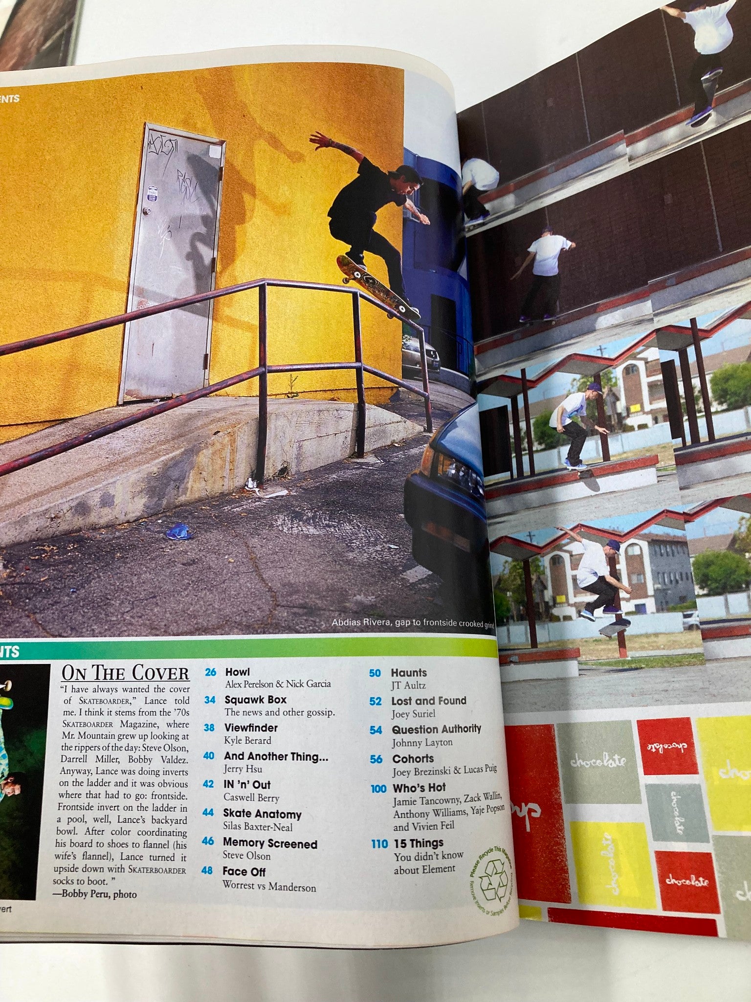 Skateboarder Magazine November 2009 Vol 19 #3 Lance Mountain Frontside Invert