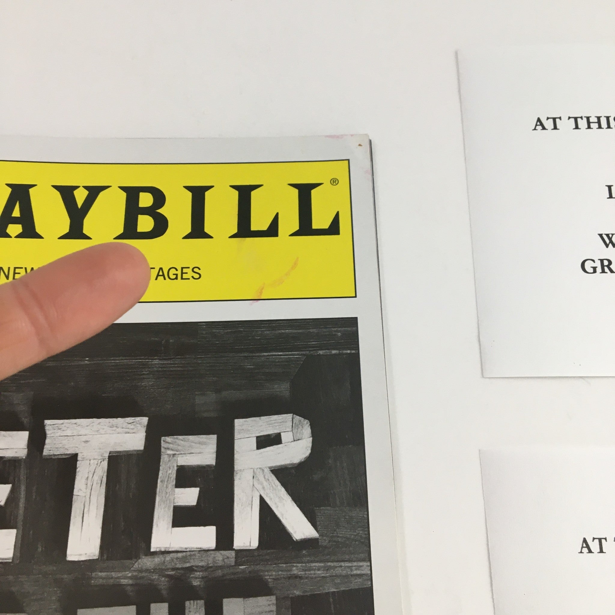 2013 Playbill New World Stages Presents Peter and the Star Catcher by Roger Rees