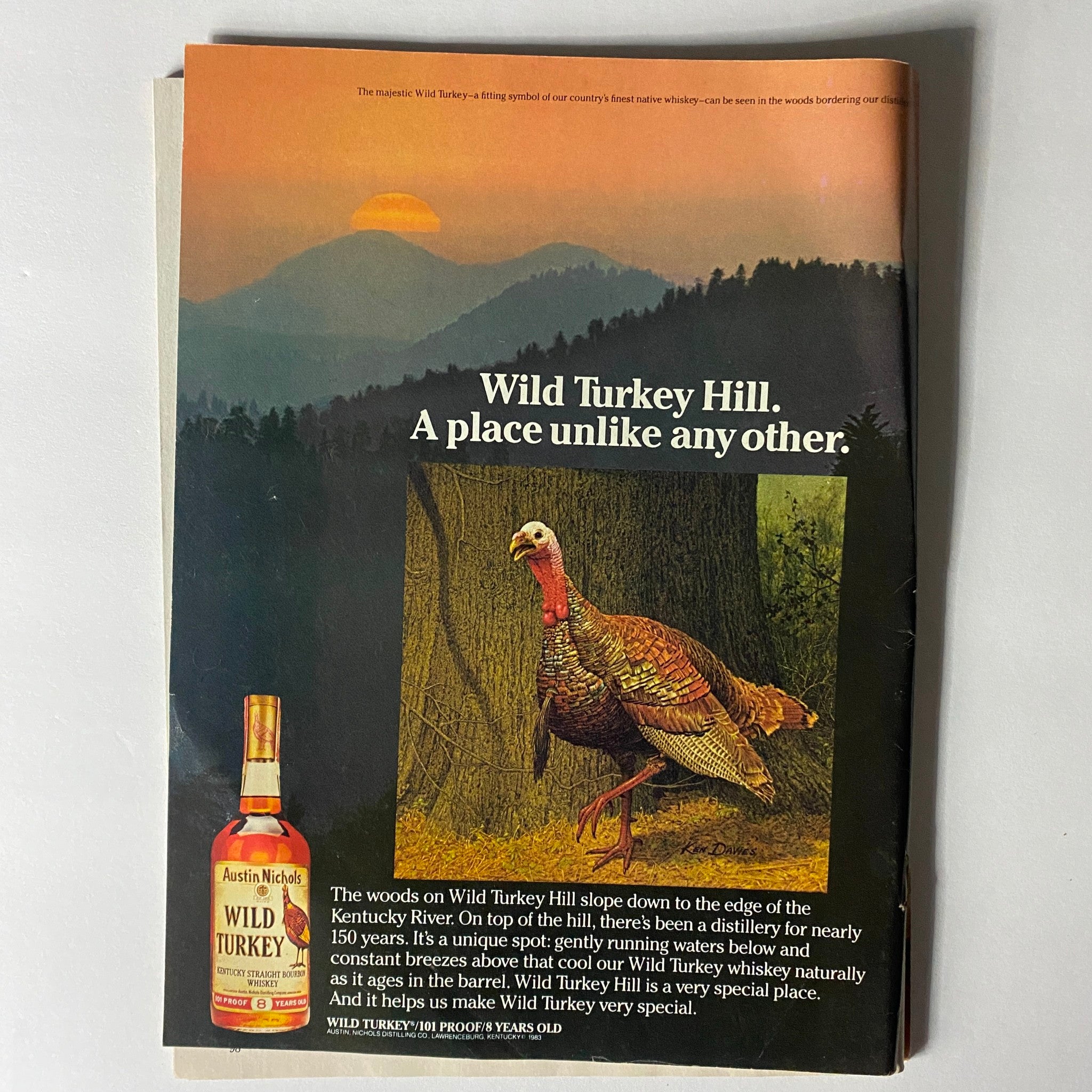 Vintage advertisement featuring a turkey in a natural setting for Wild Turkey Hill whiskey. The ad highlights the unique location and the distillation process, connected to the iconic Wild Turkey brand. It reflects the nostalgia of the 1980s era, complementing the VTG Inside Sports Magazine February 1984 with Heather Locklear on the cover.
