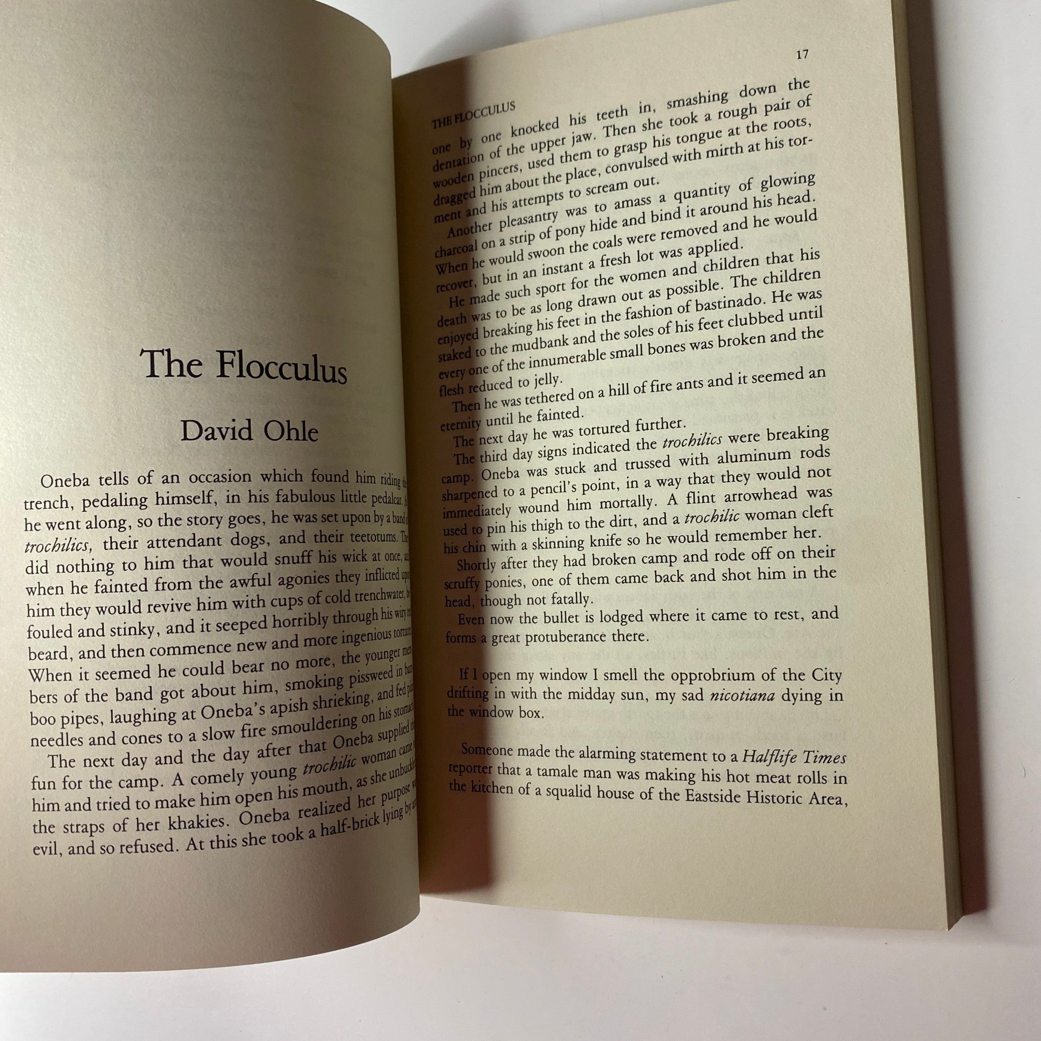 Page excerpt from The Paris Review Magazine Winter-Spring 1980 No. 77, showcasing the fiction piece 'The Flocculus' by David Ohle.