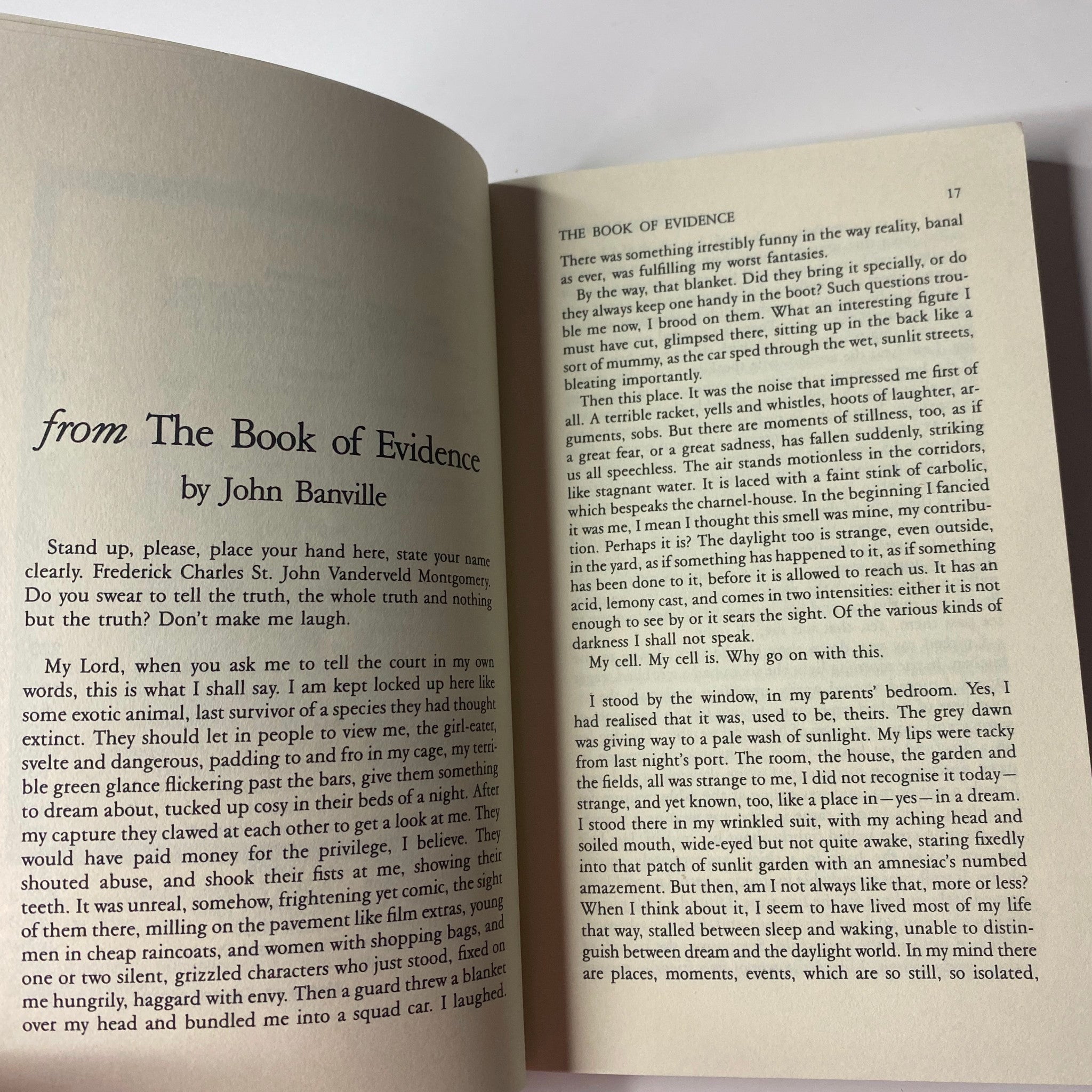 Excerpt from the story 'from The Book of Evidence' by John Banville, featured in The Paris Review Magazine Winter II 1989 No. 113.