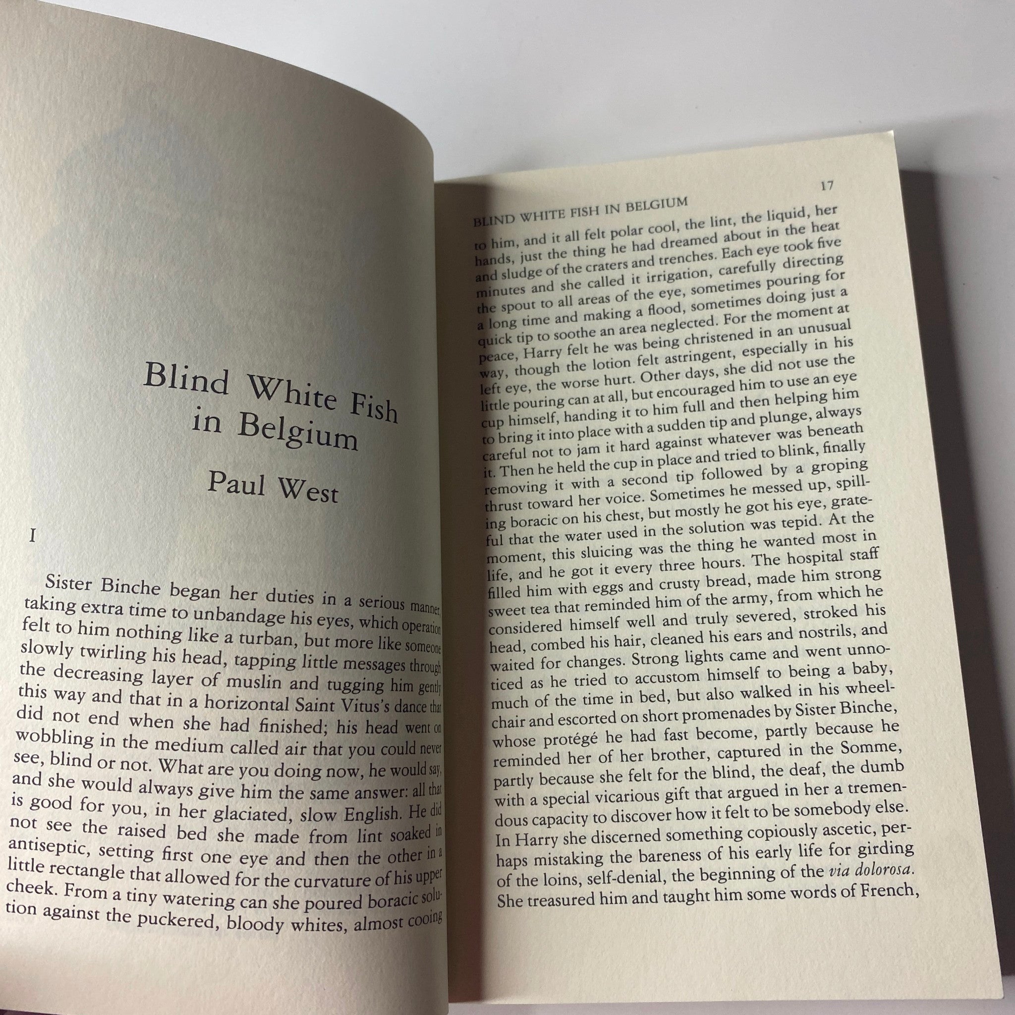 Excerpt from the story 'Blind White Fish in Belgium' by Paul West in The Paris Review Magazine Winter 1991 No. 121.